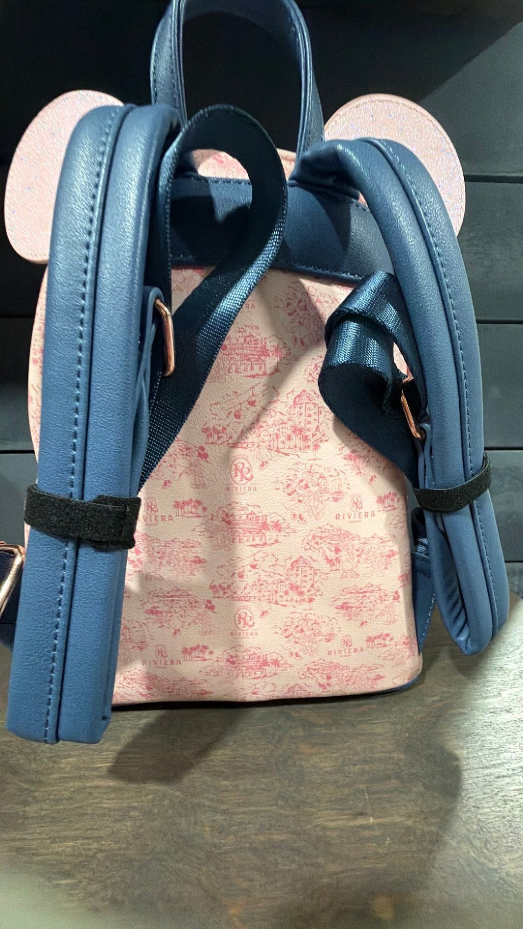 Rivera backpack and ears