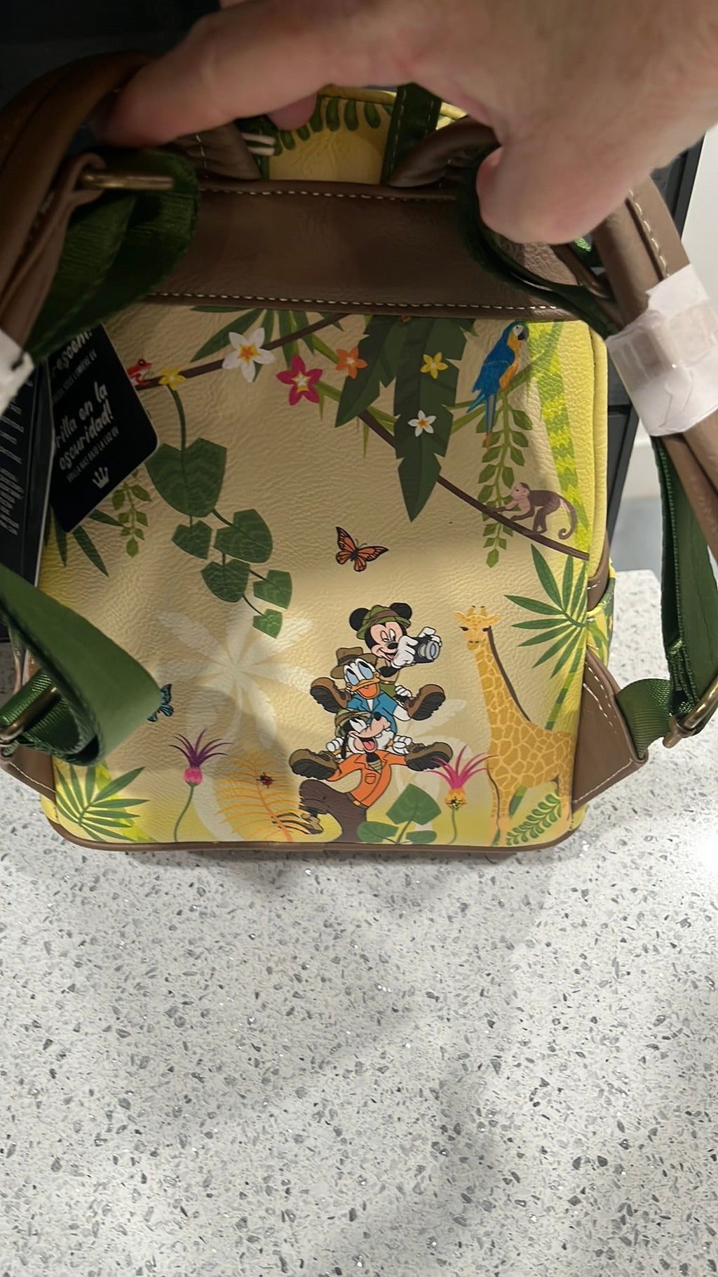Mickey and friends backpack NWT
