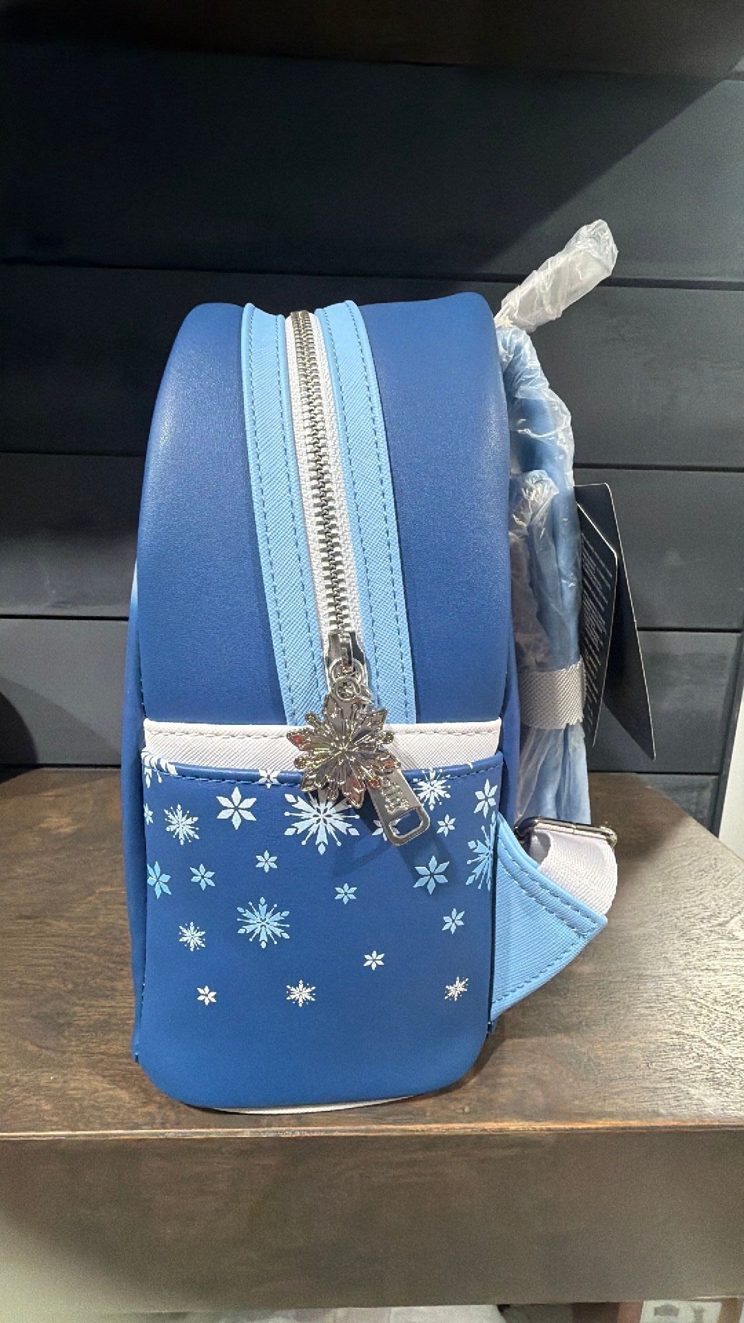Frozen Mini Backpack (Books-a-Million Exclusive)