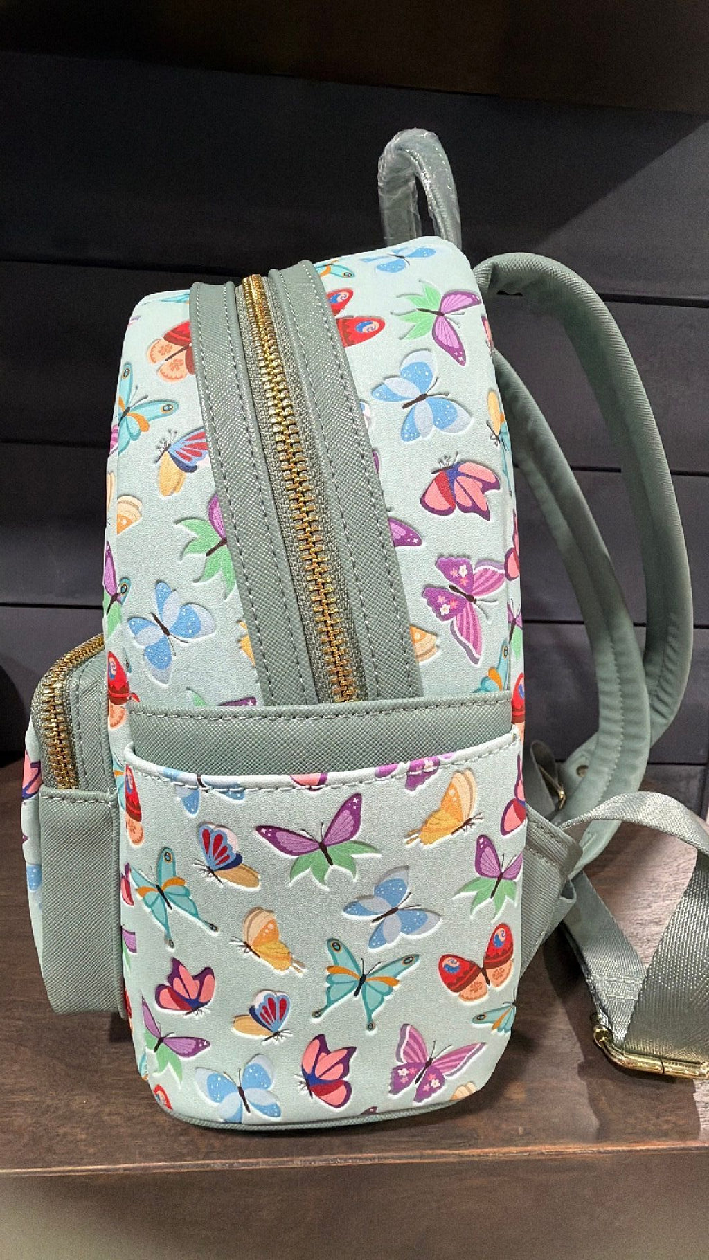 Princess butterflies backpack NWT