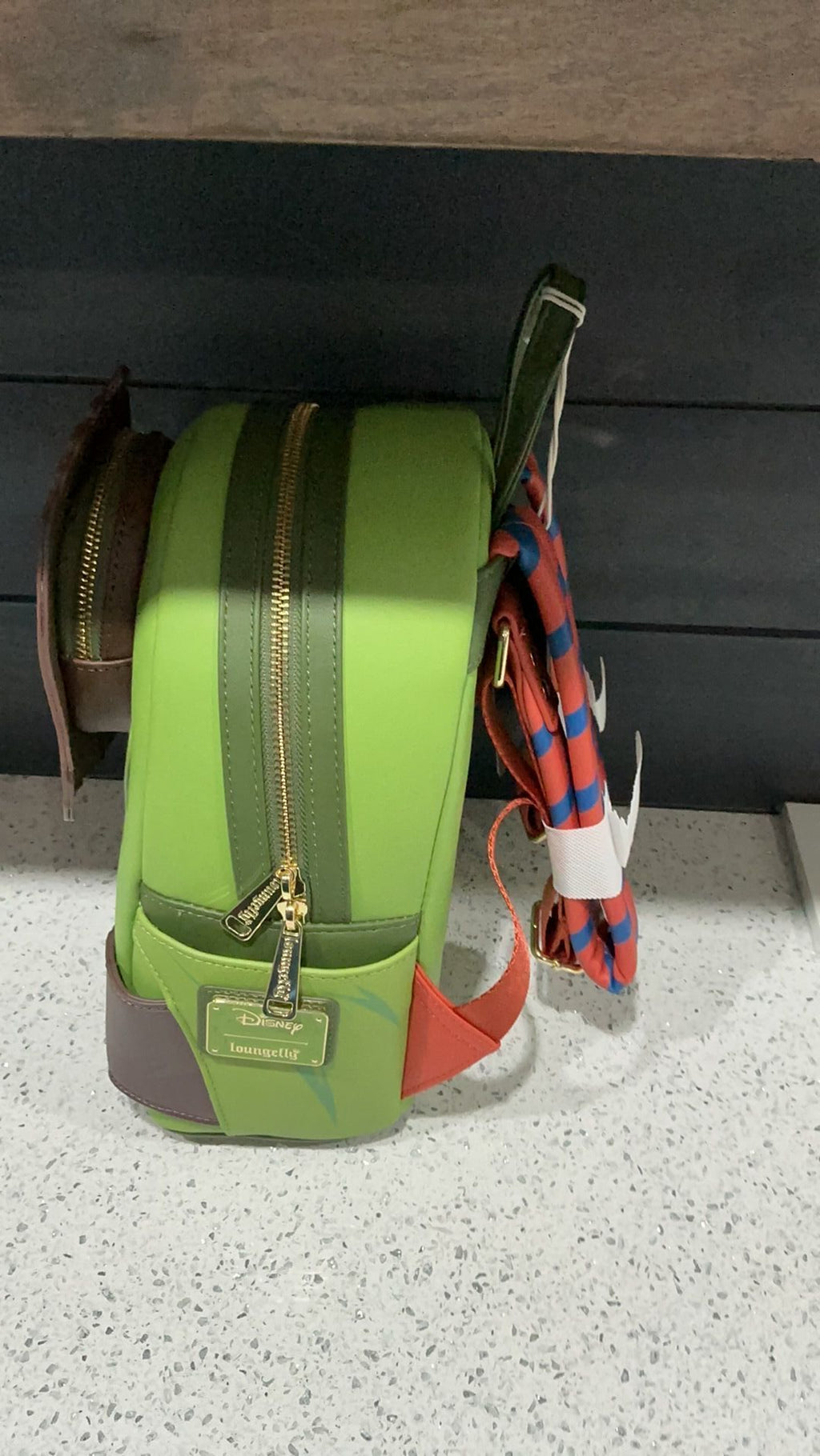 Flash backpack NwT