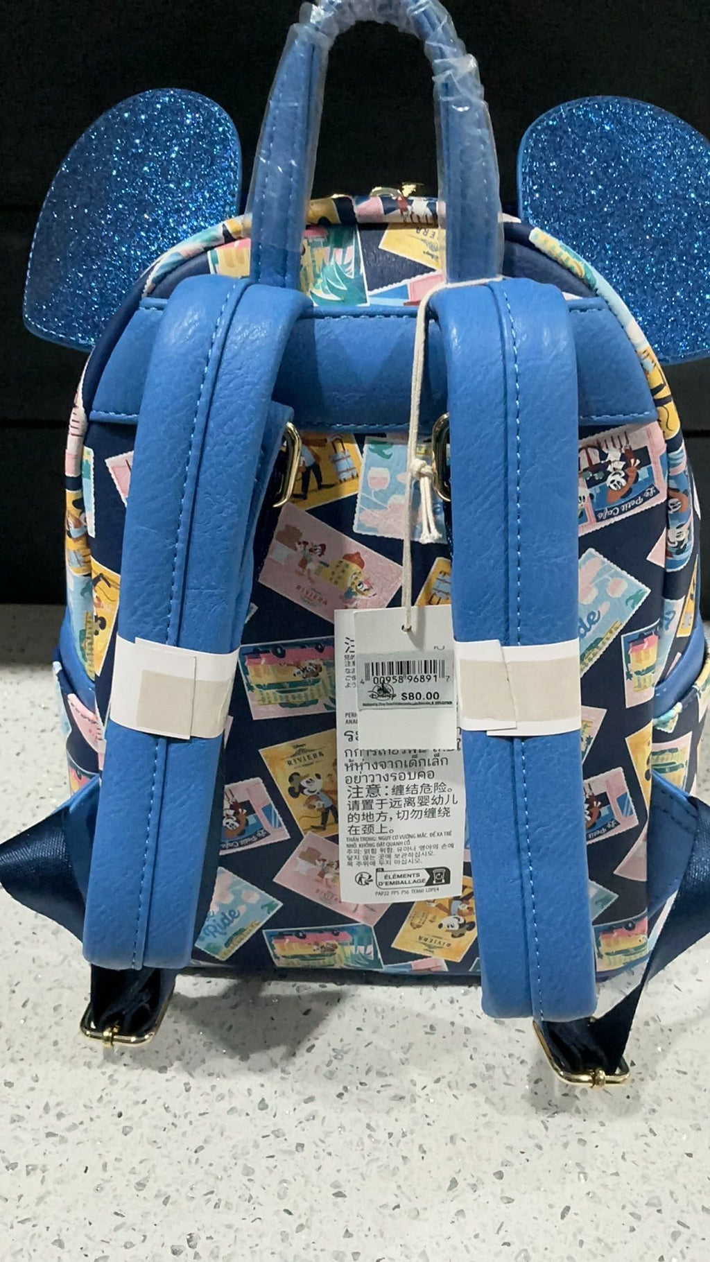 Rivera backpack NWT