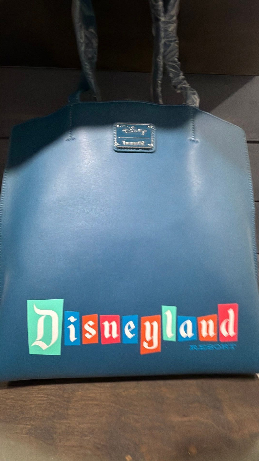 Disneyland Tote NWT