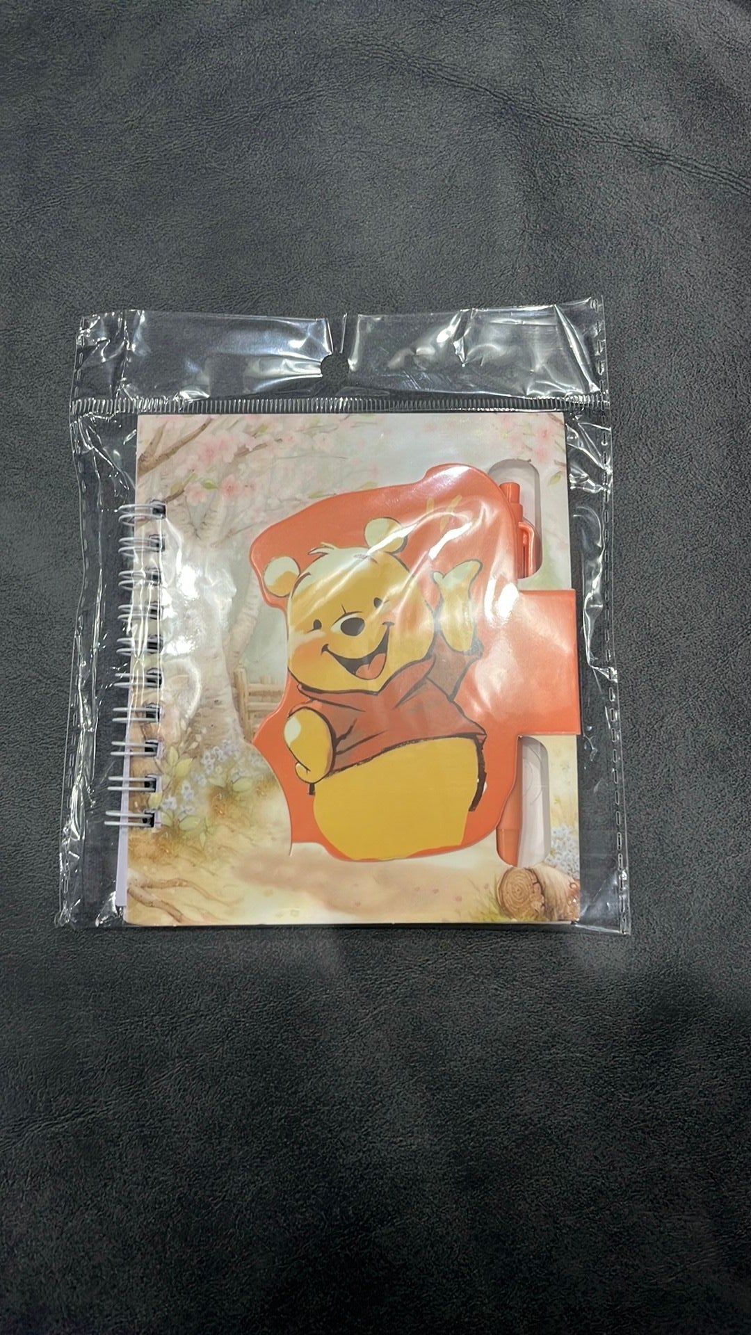 Winnie Pooh journal NWT