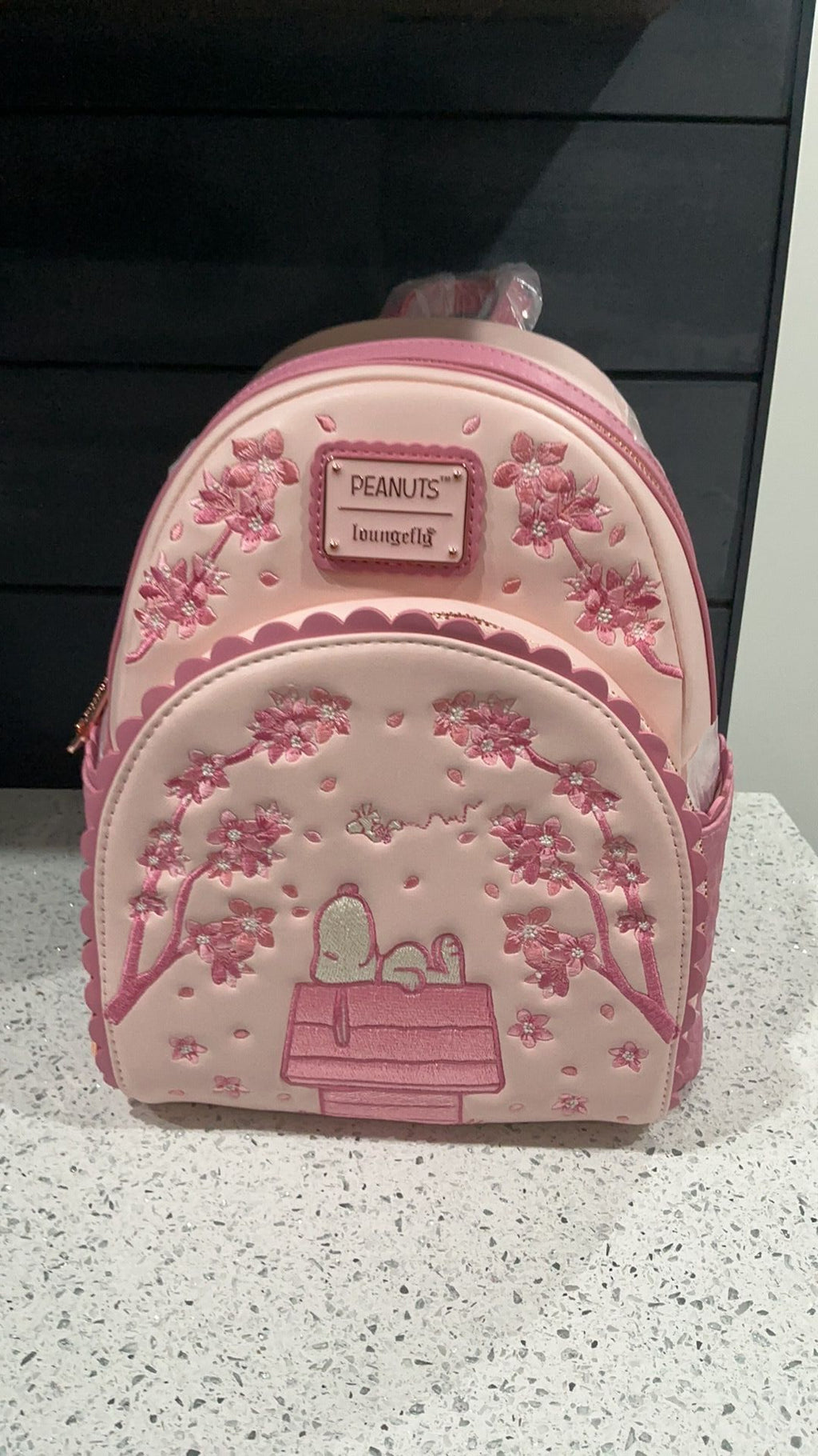 Snoopy backpack NWT
