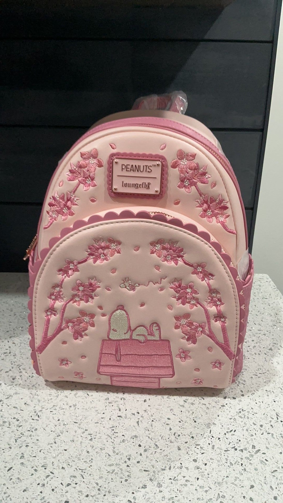 Snoopy backpack NWT