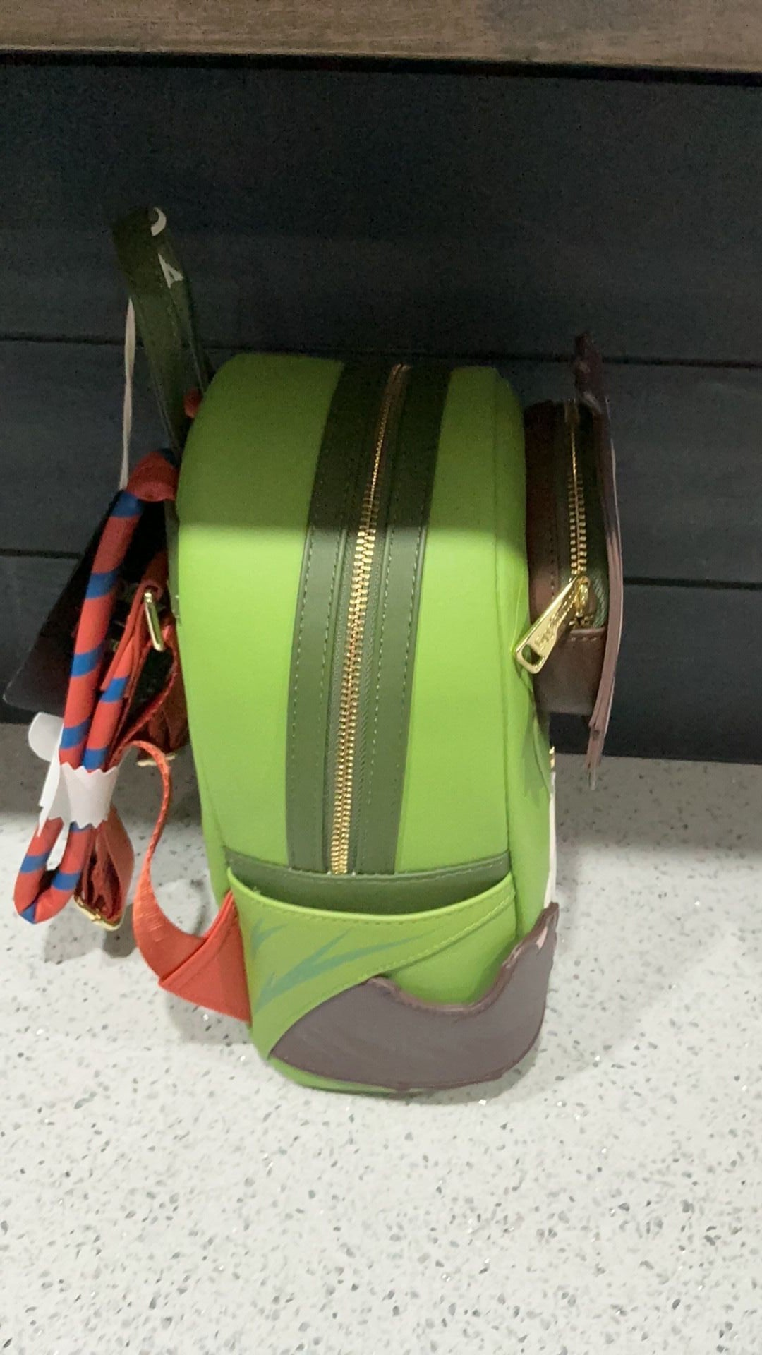 Flash backpack NwT