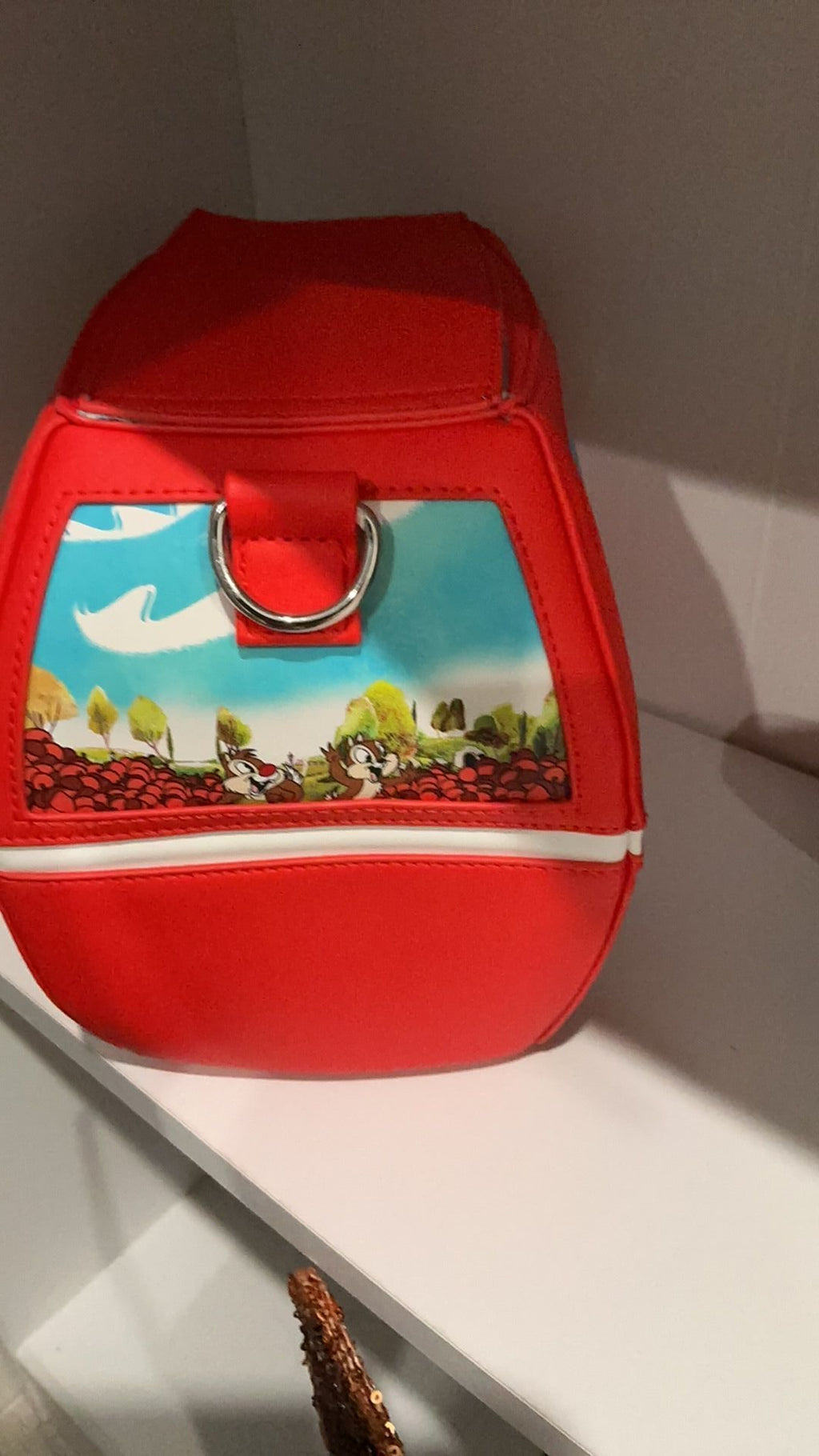 Skyliner crossbody NWT