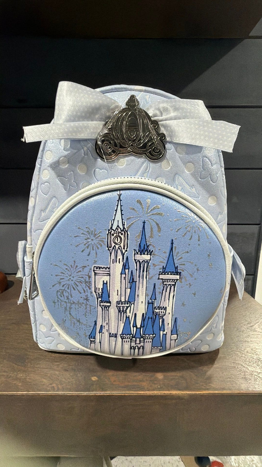 Cinderella backpack NWT