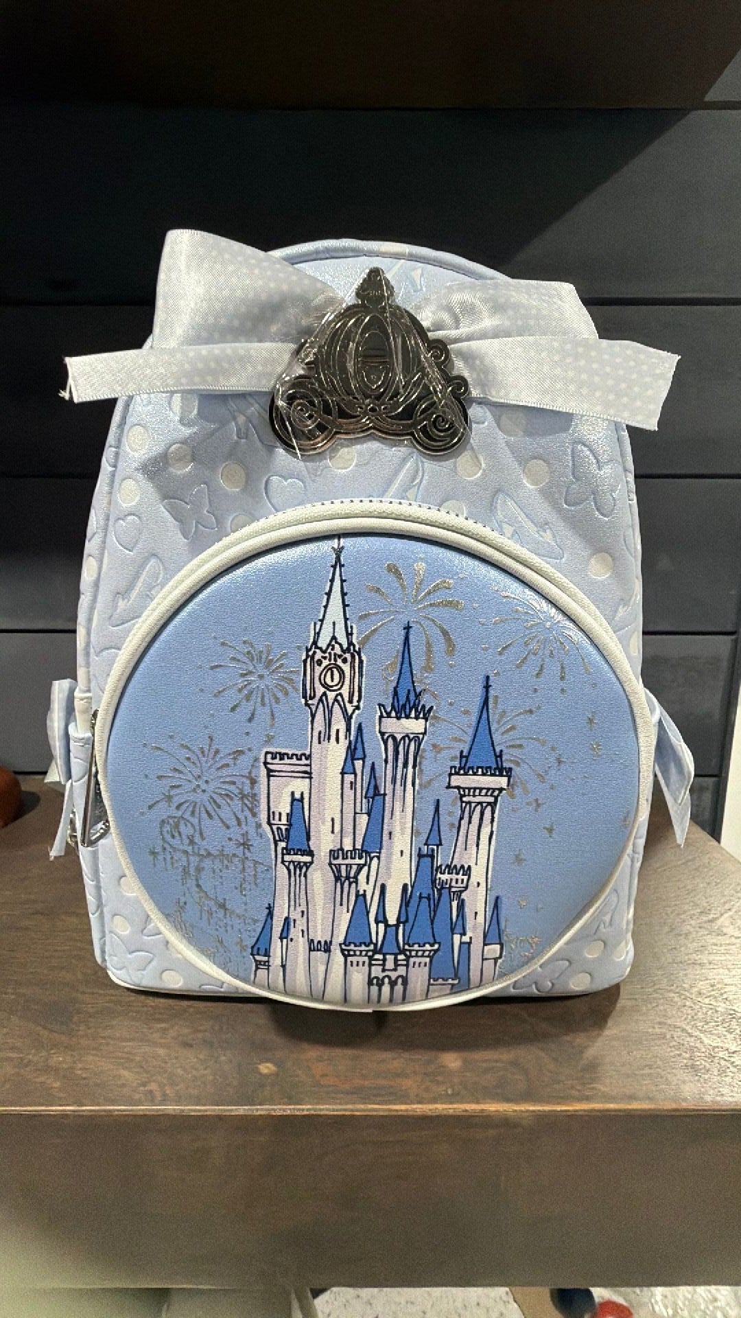Cinderella backpack NWT