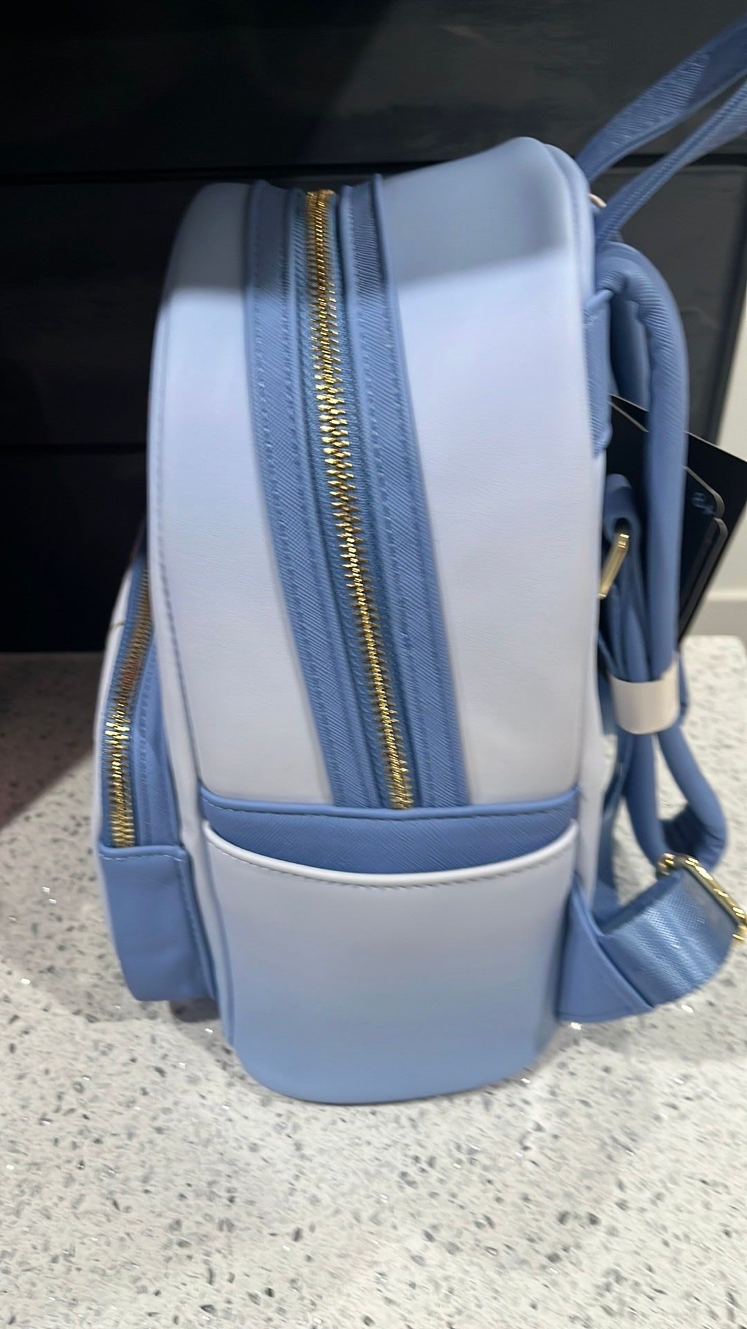 Winnie the Pooh and friends backpack NWT
