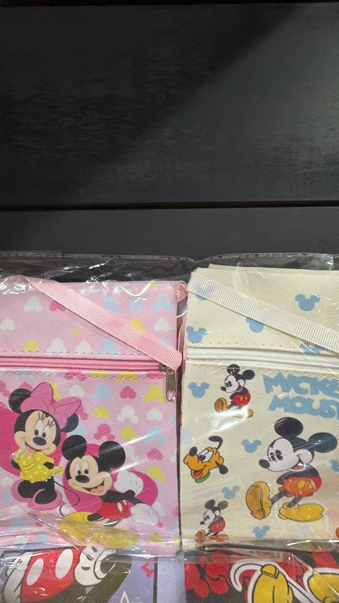 Disney inspired crossbody NWOT