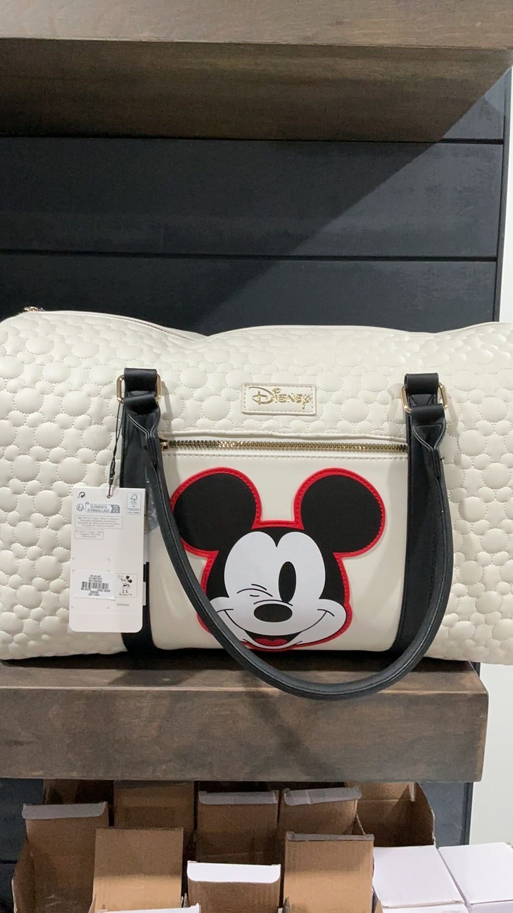 Mickey weekender NWT