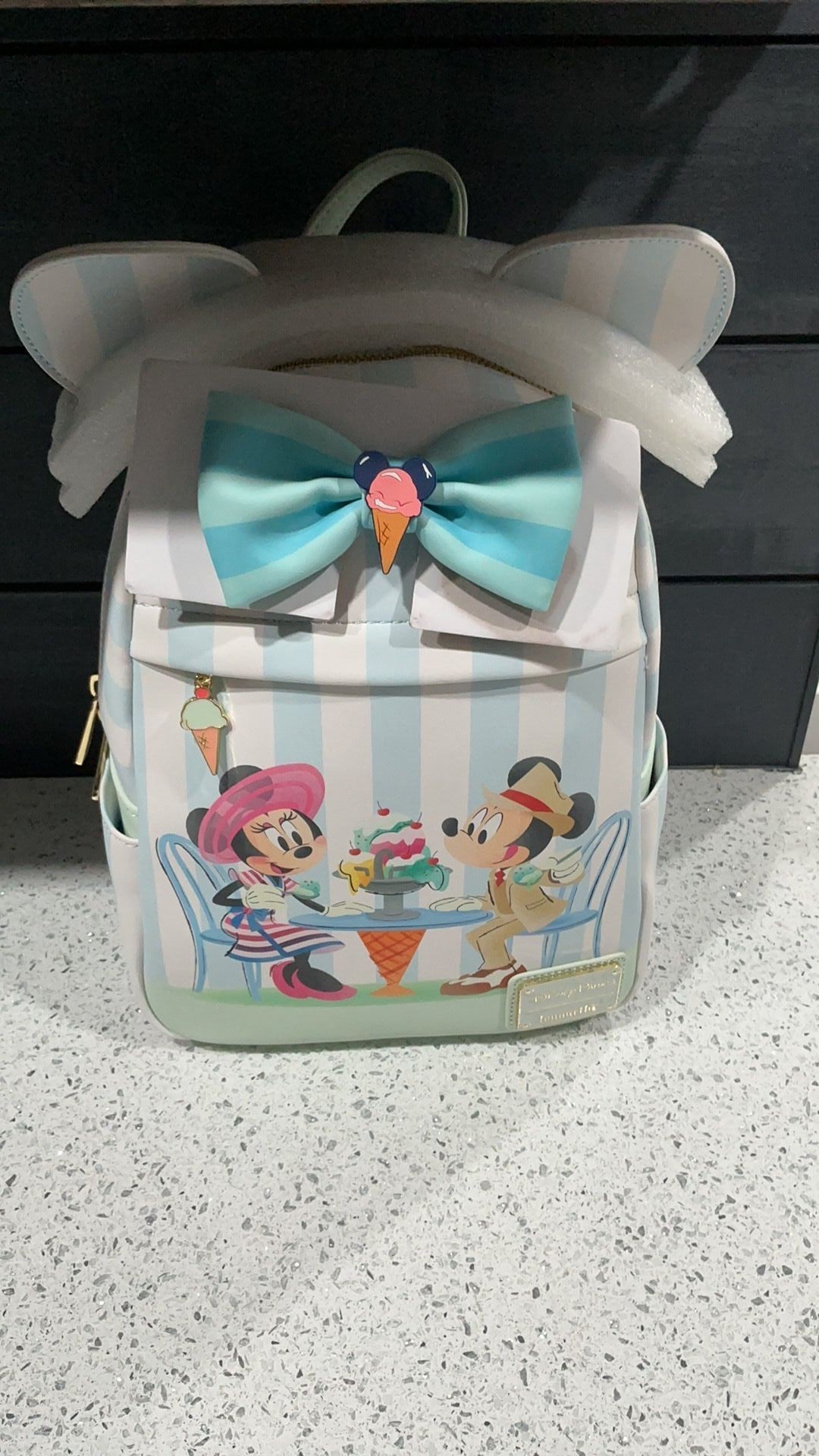 Disney beach club backpack NWT