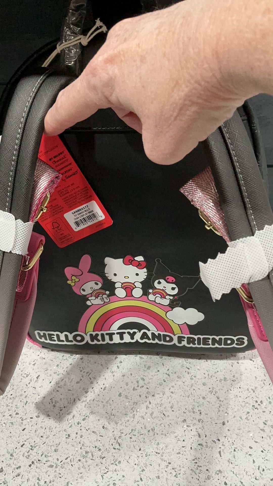 Sanrio backpack NWT