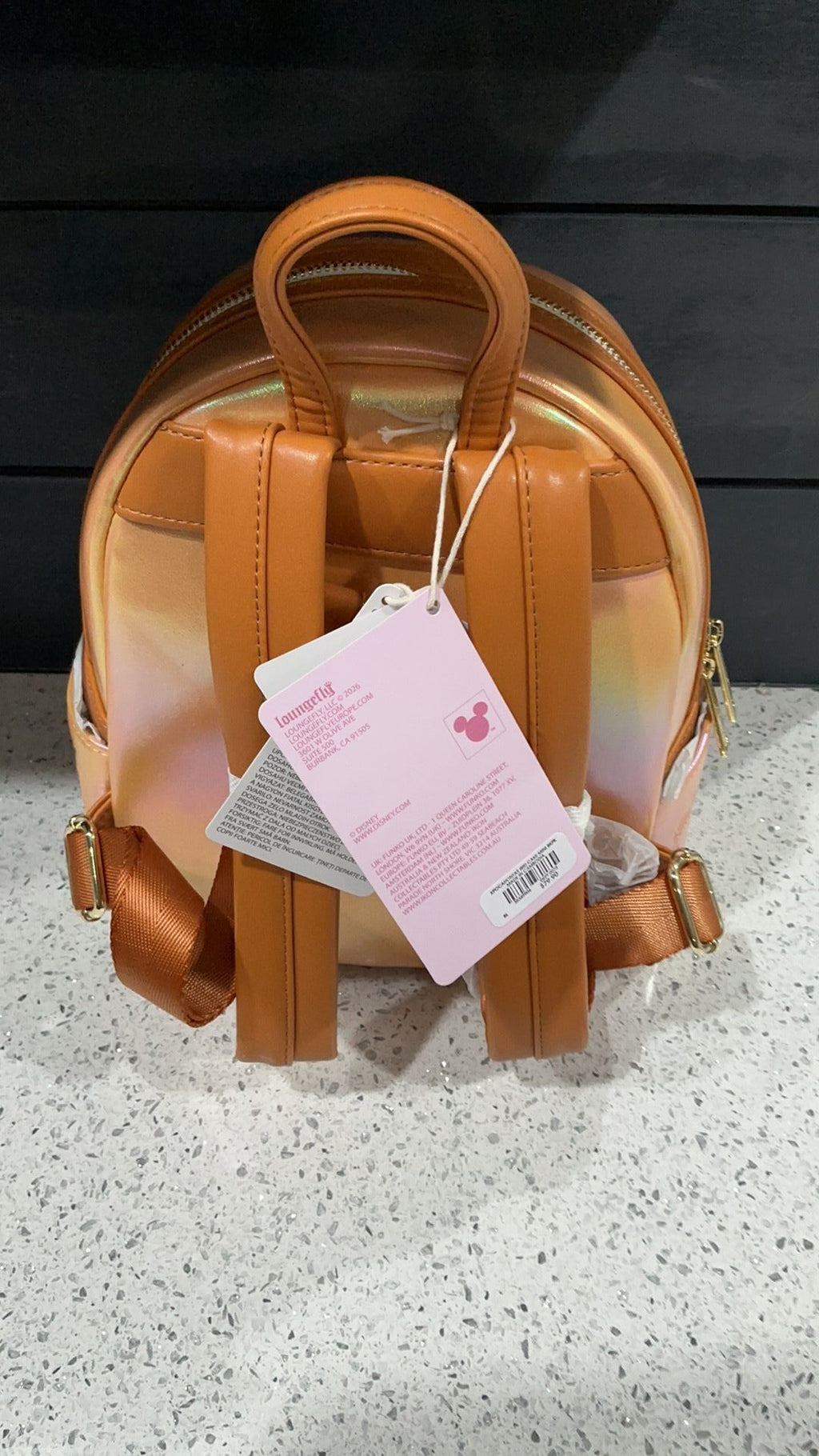 Pocahontas backpack NWT