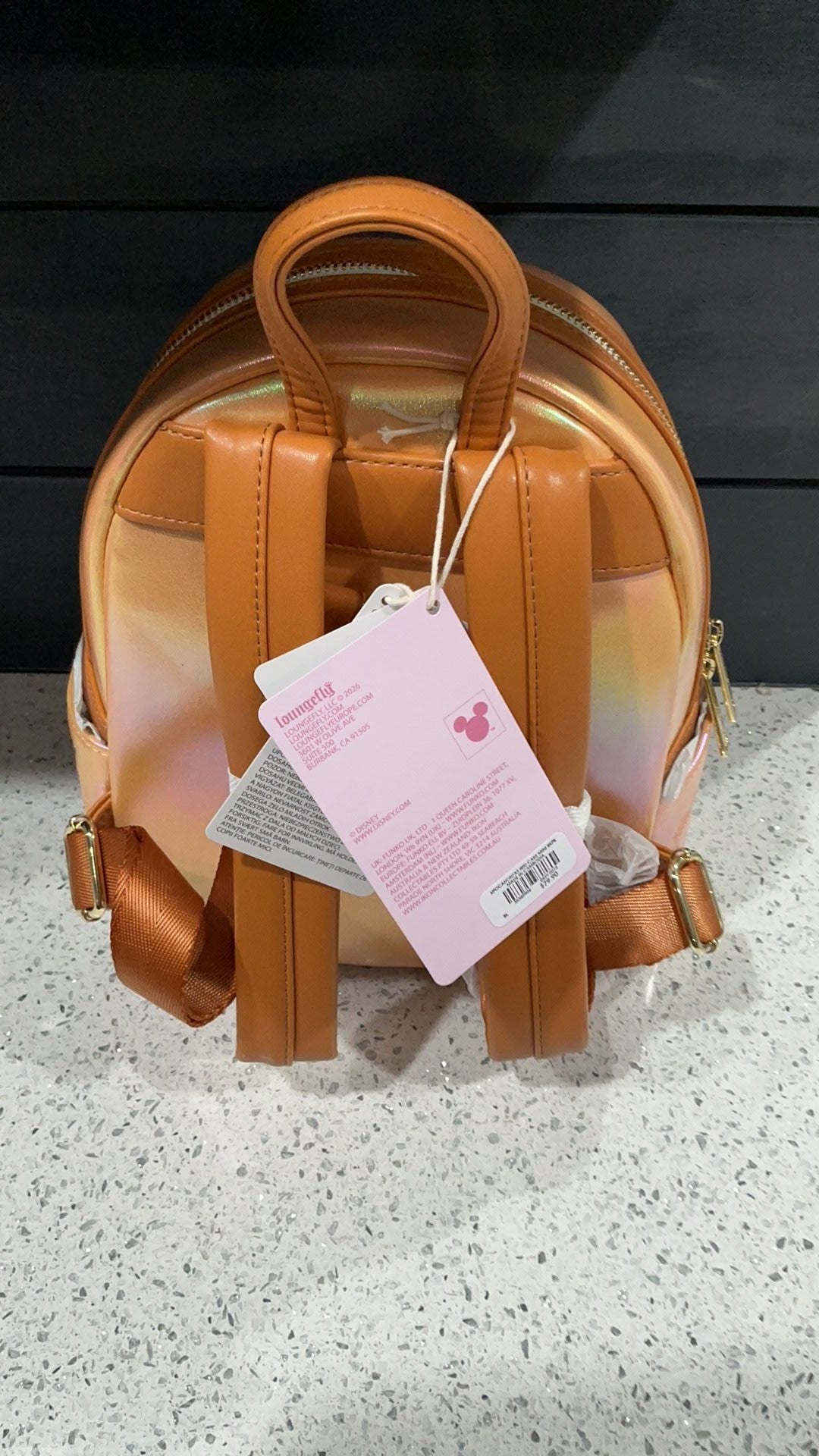 Pocahontas backpack NWT