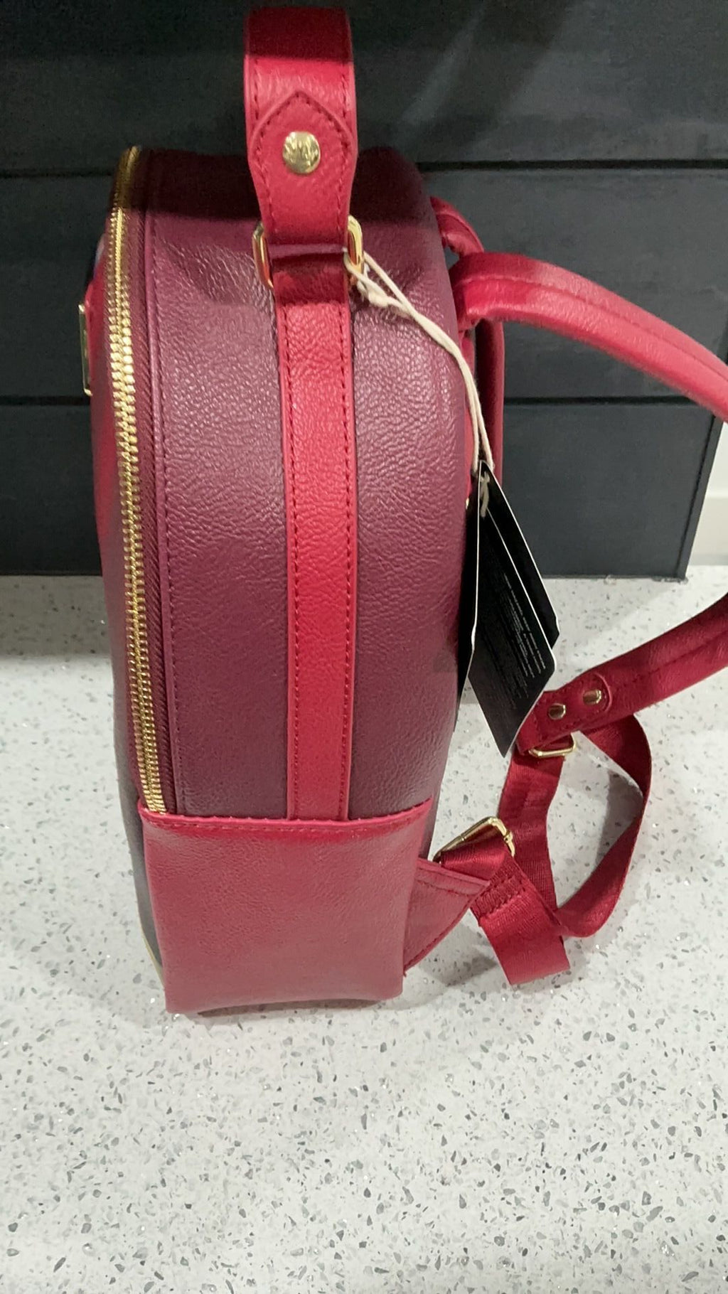 Rapunzal backpack NWT