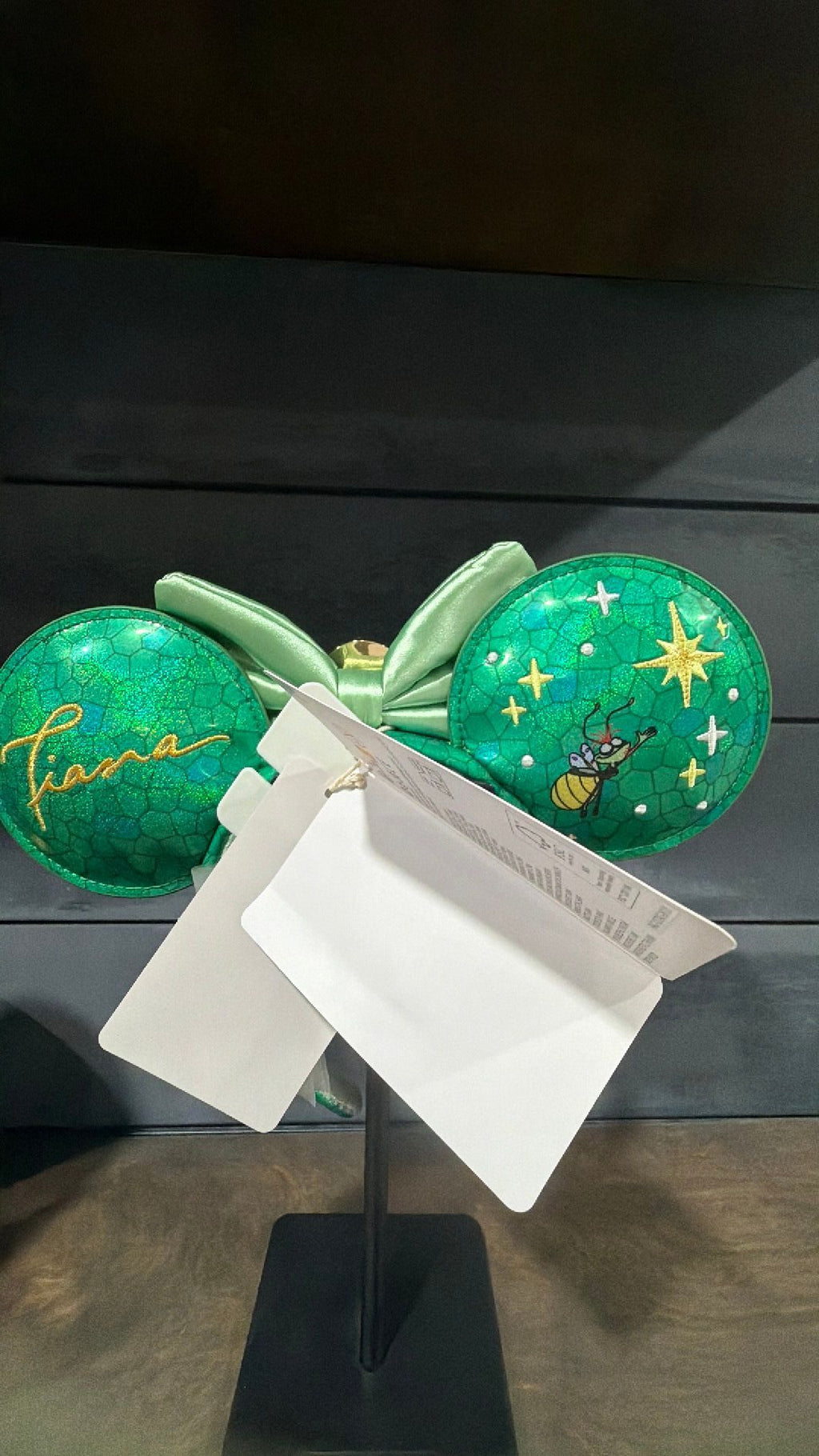Tiana ears NWT
