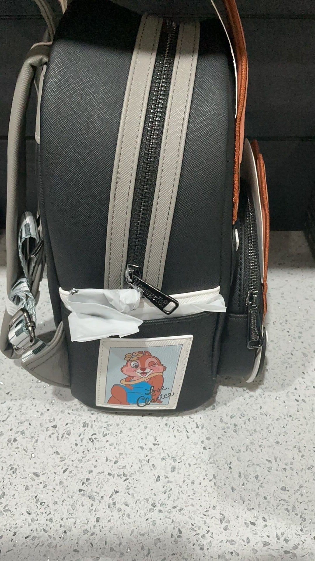 Chip and dale backpack NWT