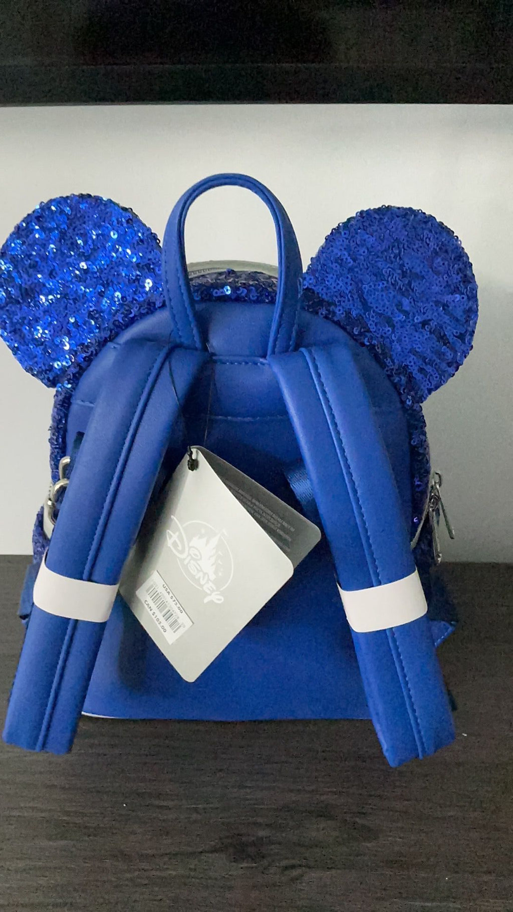 Wish backpack NWT