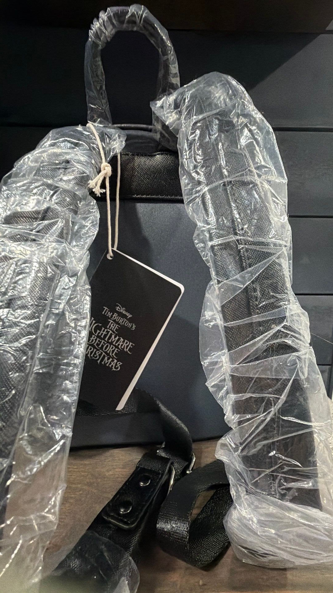 NBC backpack NWT