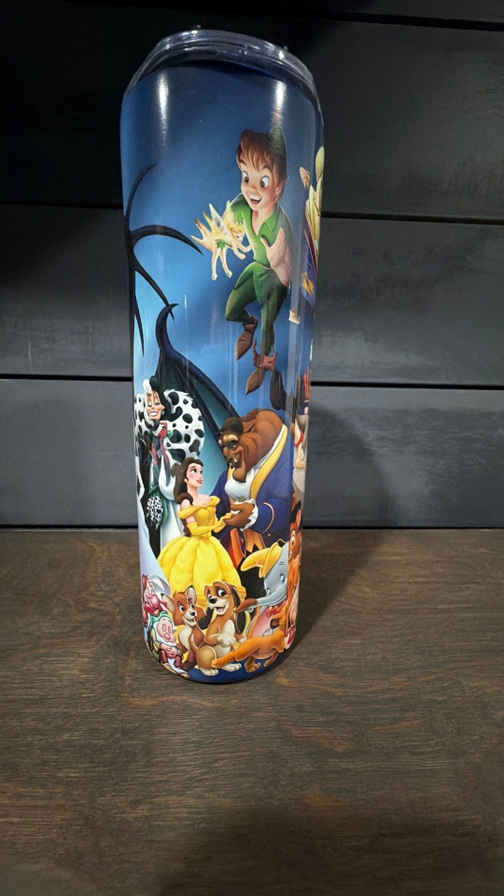 Disney characters tumbler NWOT