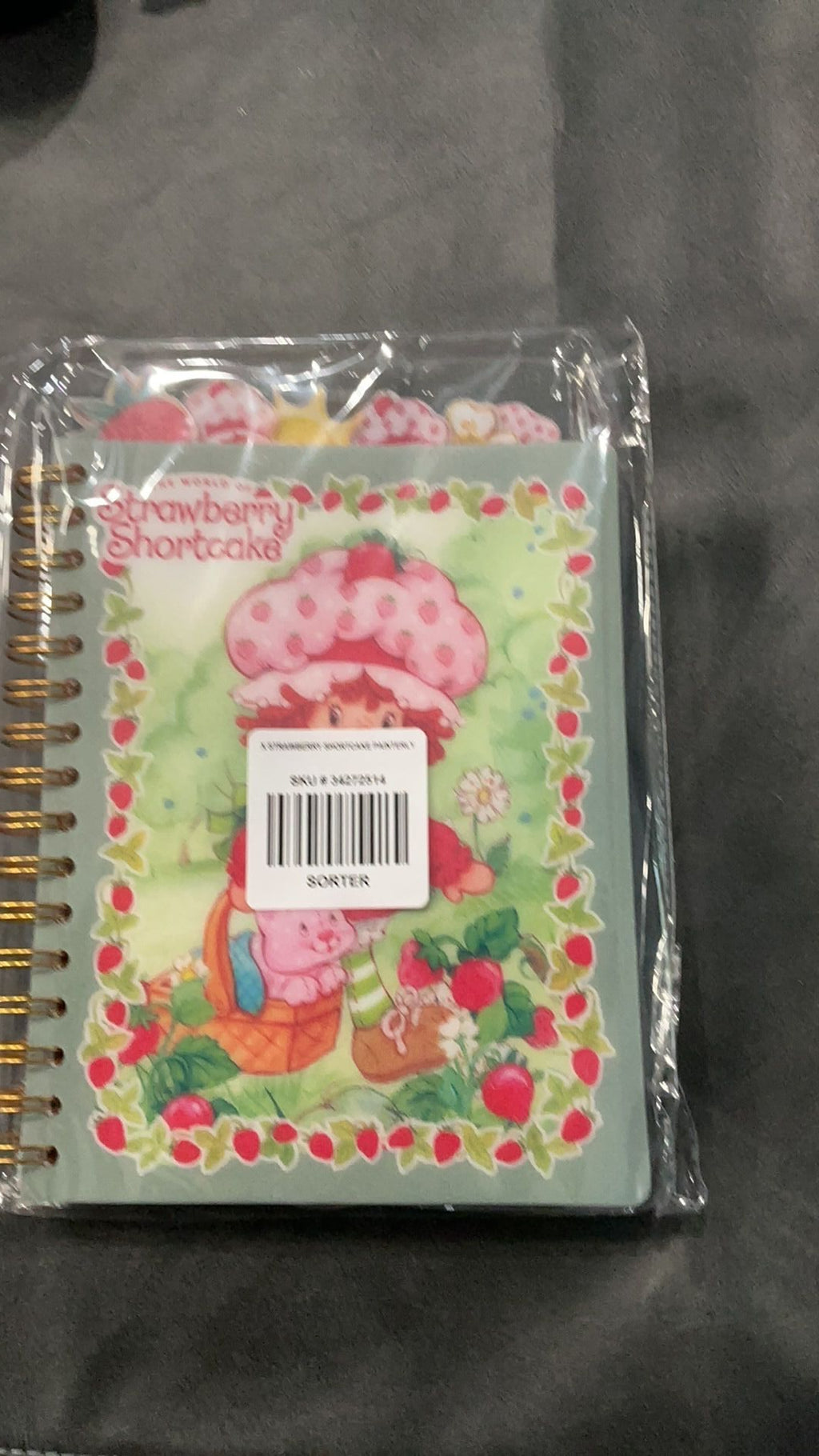 Strawberry shortcake journal NWT