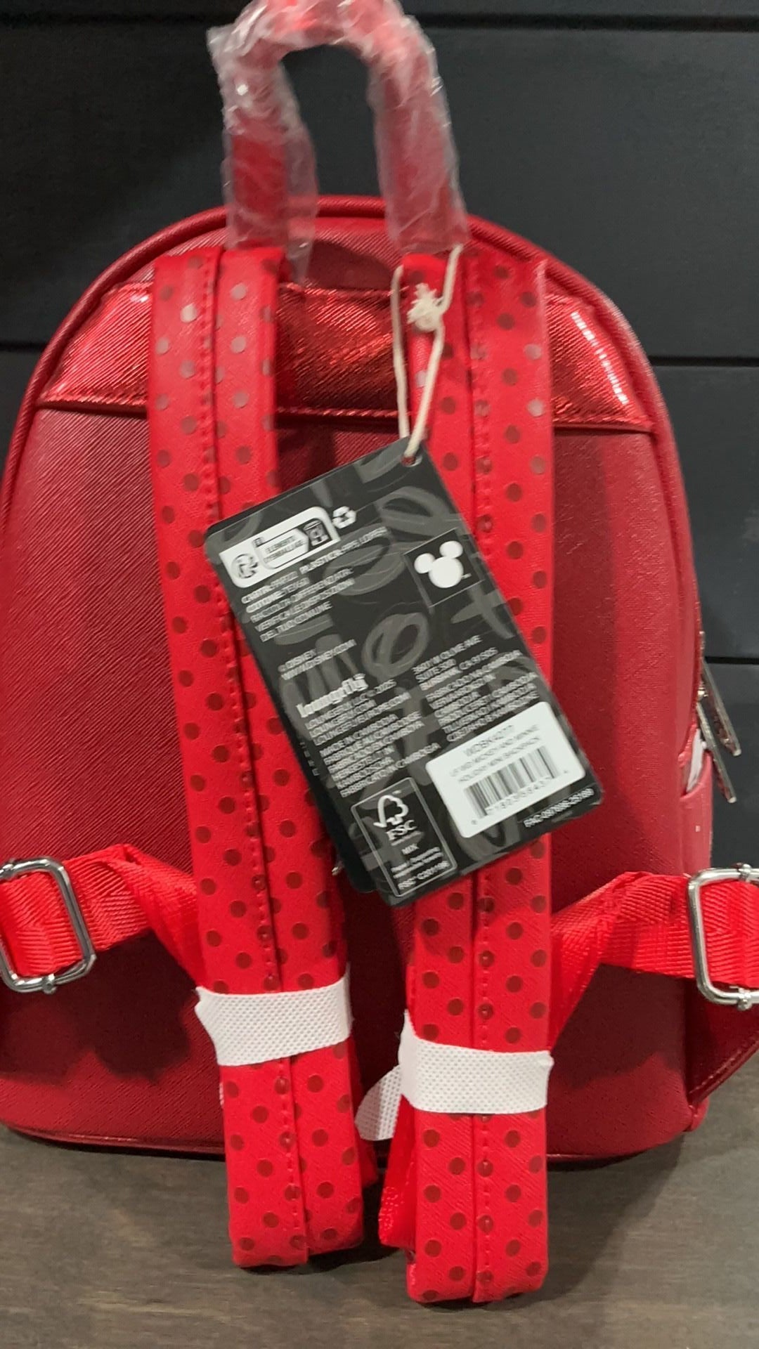 Mickey and Minnie backpack NWT