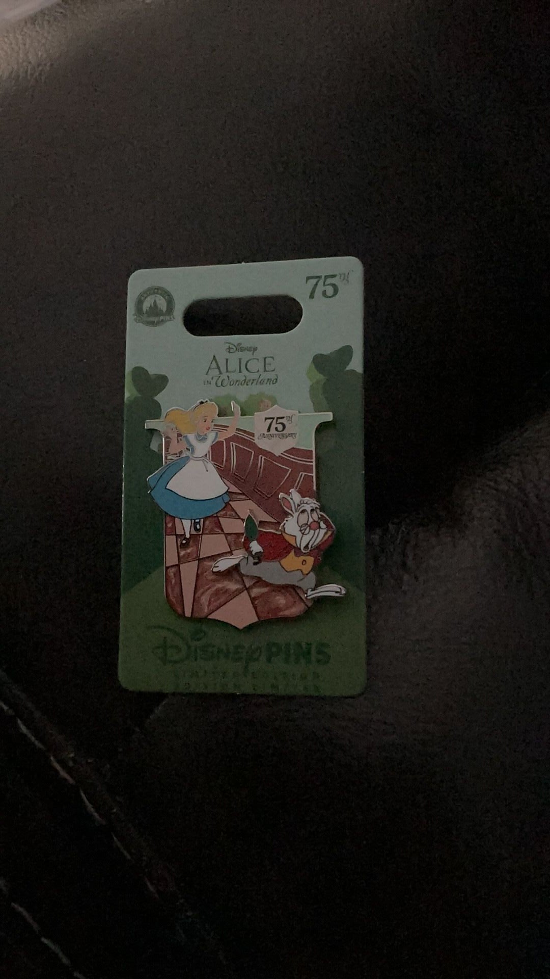 Alice and white rabbit pin