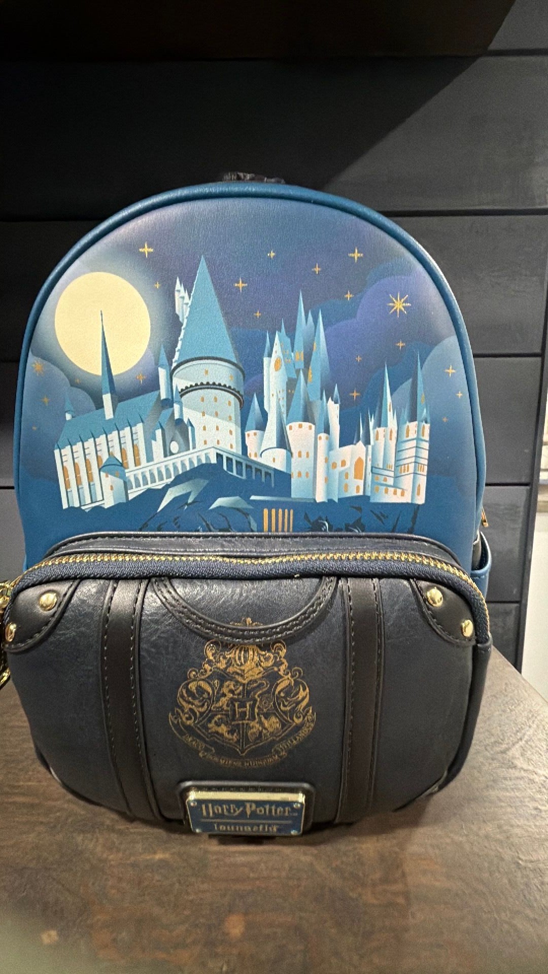 Harry Potter backpack NWT