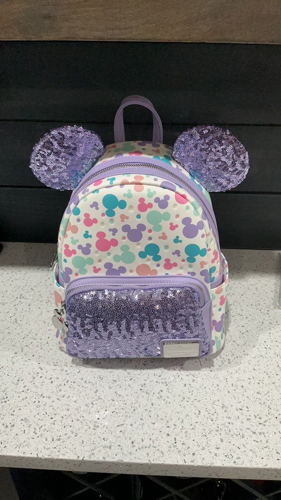 Mickey Mouse backpack NWT