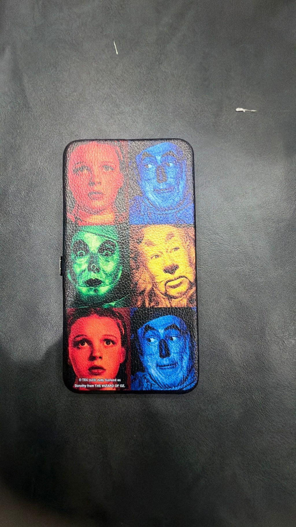 Wizard of oz wallet NWT