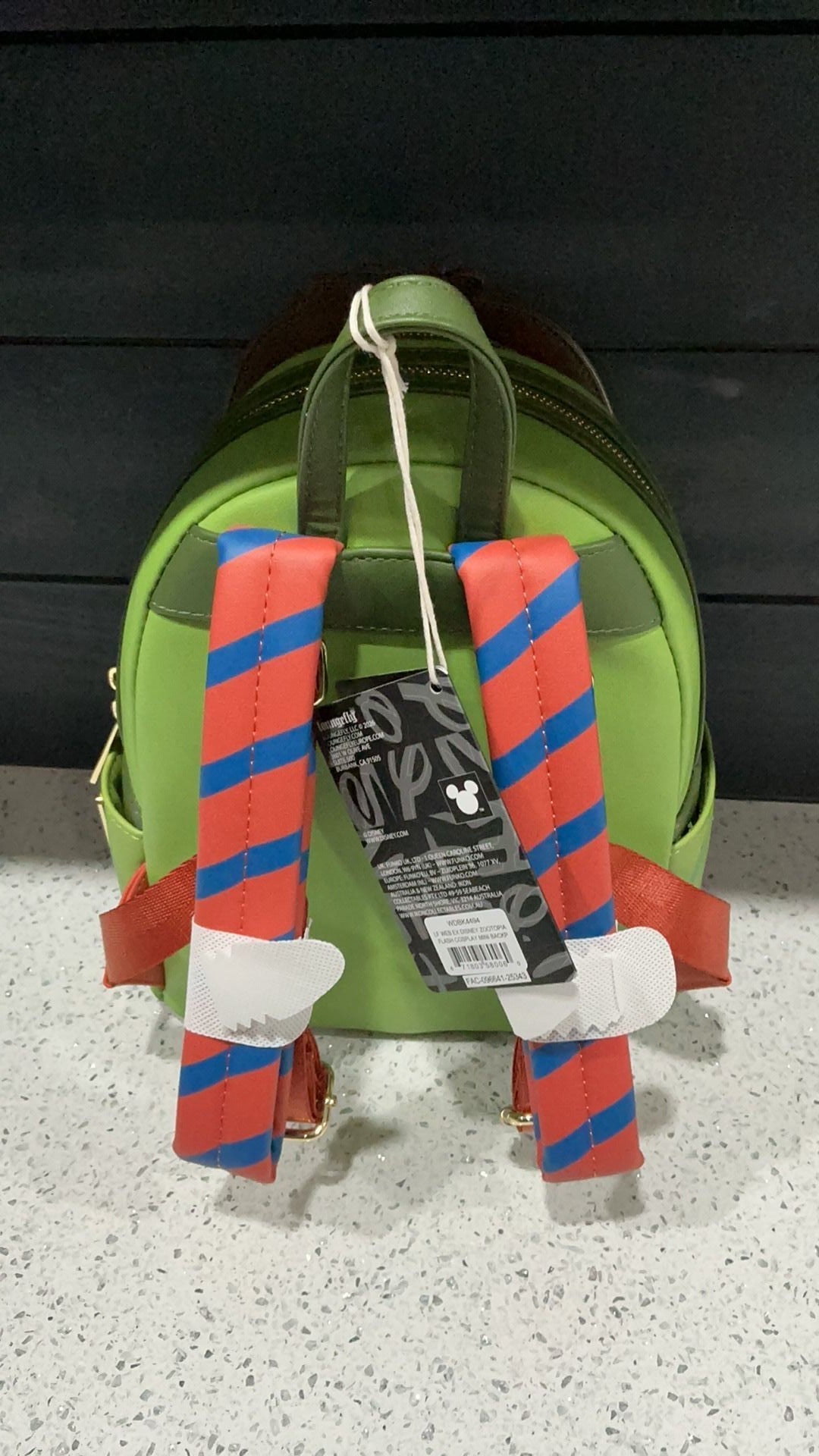 Flash backpack NwT