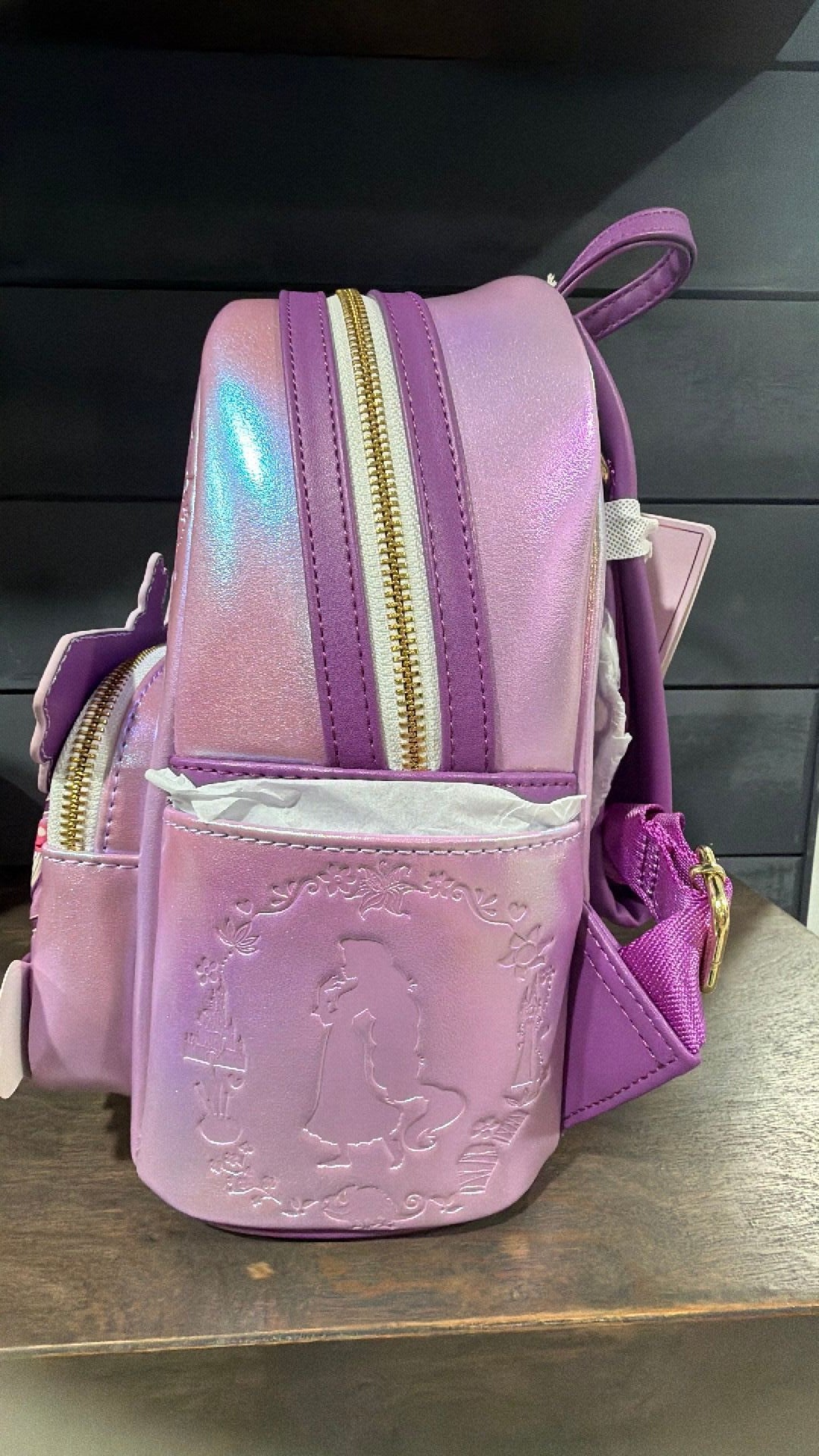 Rapunzal cake backpack NWT