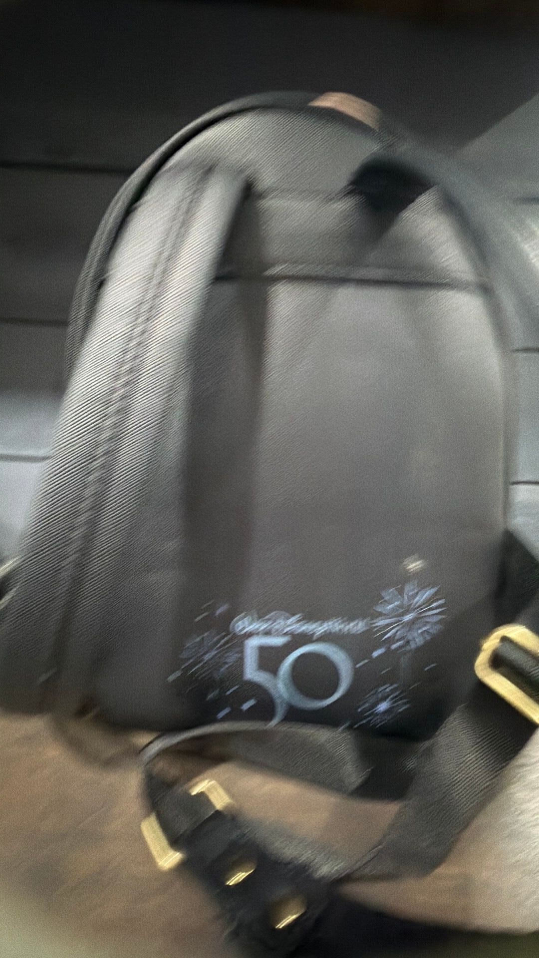 Disney parks backpack Pre-loved