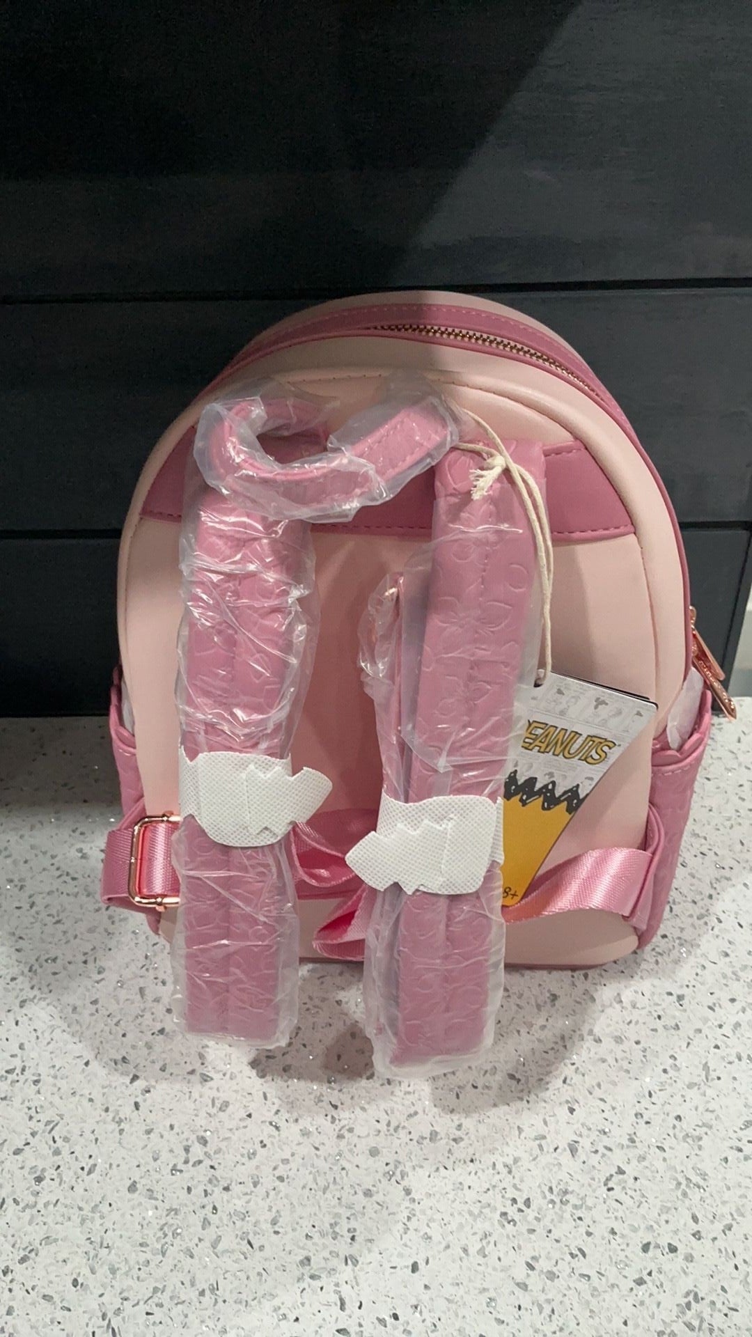 Snoopy backpack NWT