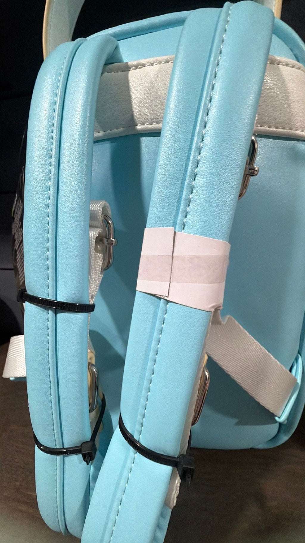 Up house backpack NWT