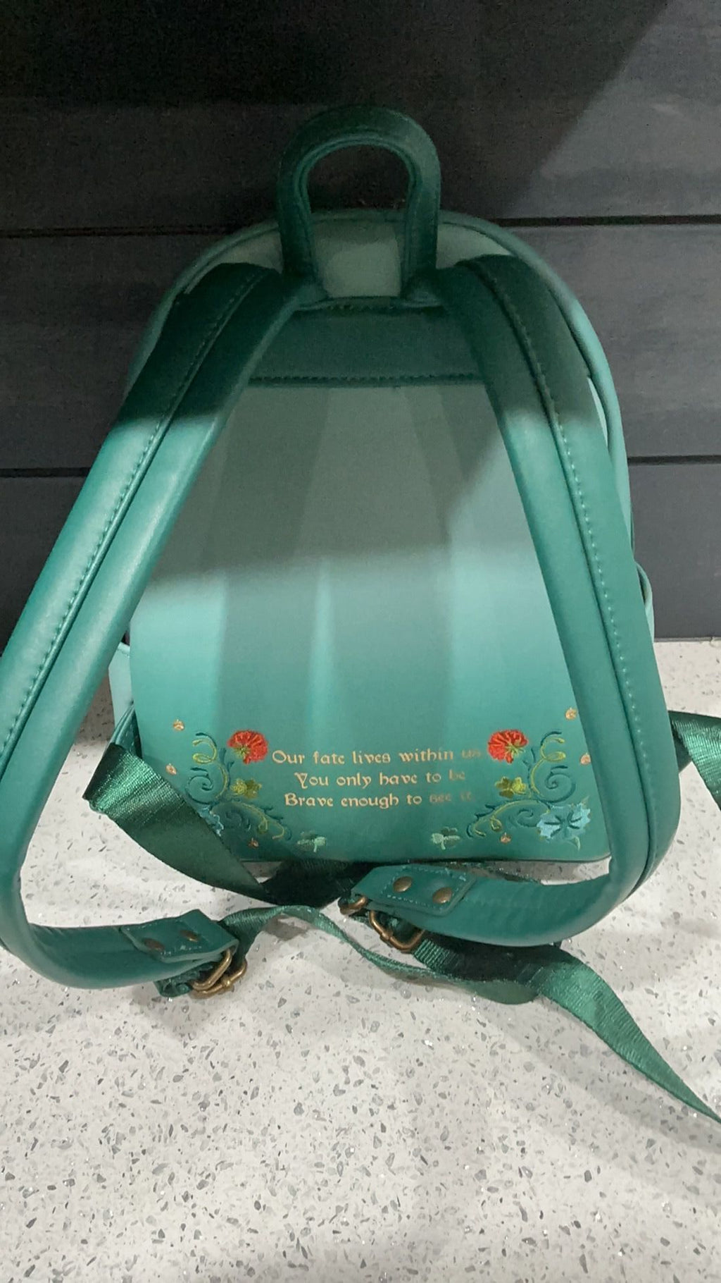 Merida backpack and wallet