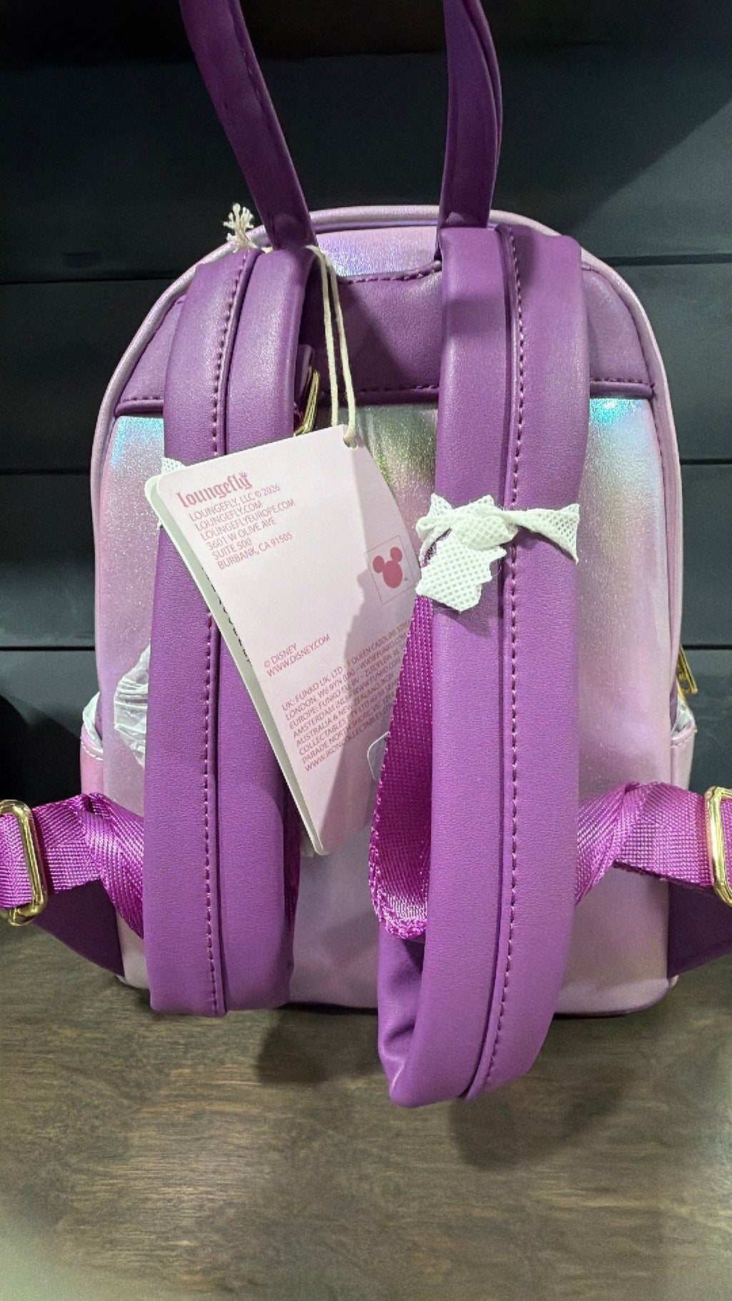 Rapunzal cake backpack NWT