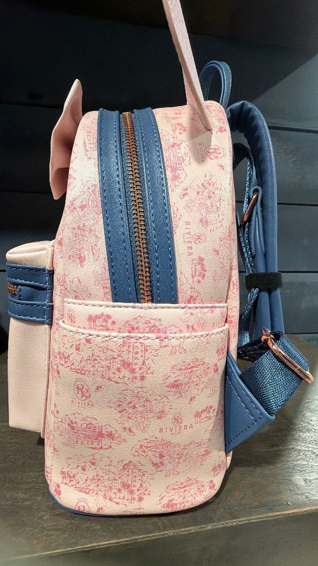 Rivera backpack and ears