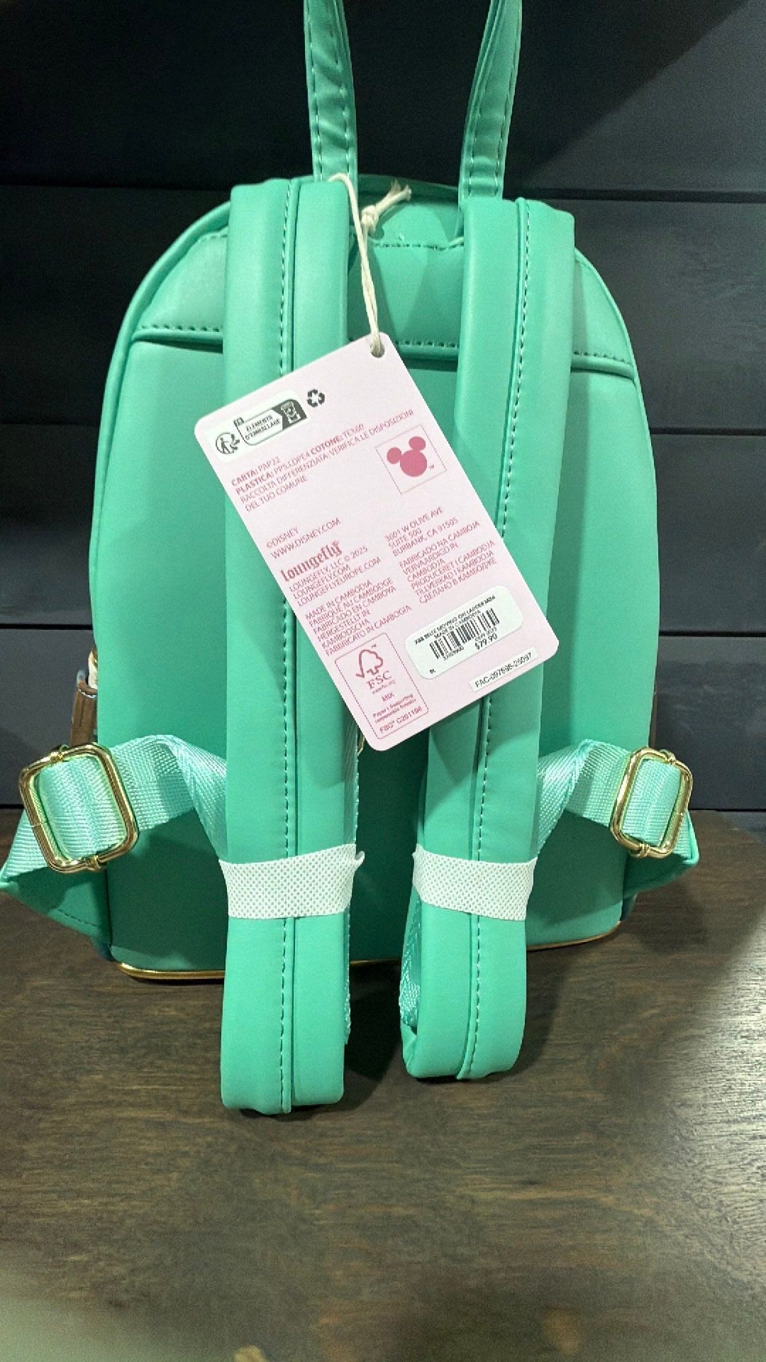 Belle ladder backpack NWT
