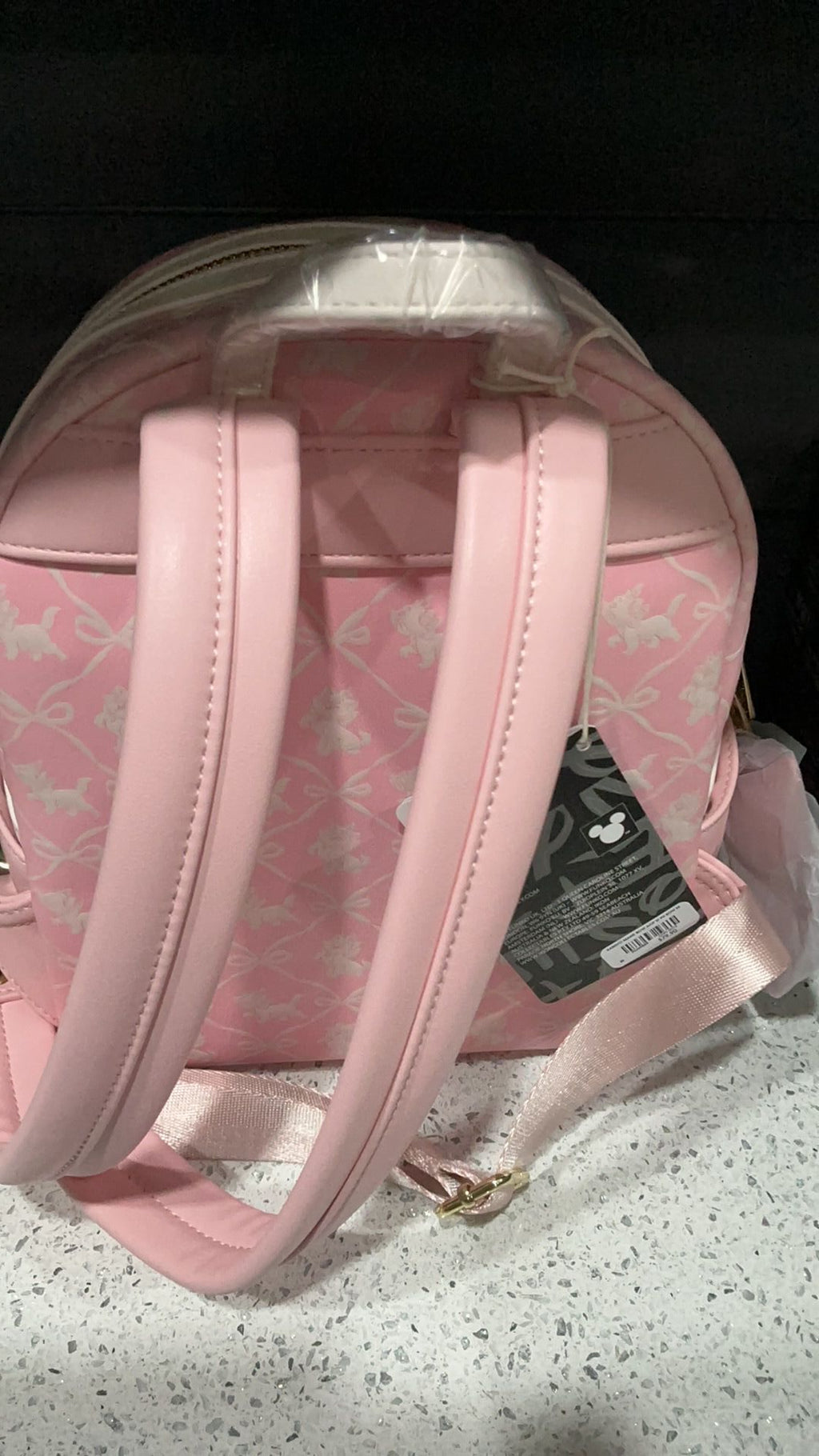 Marie backpack NWT