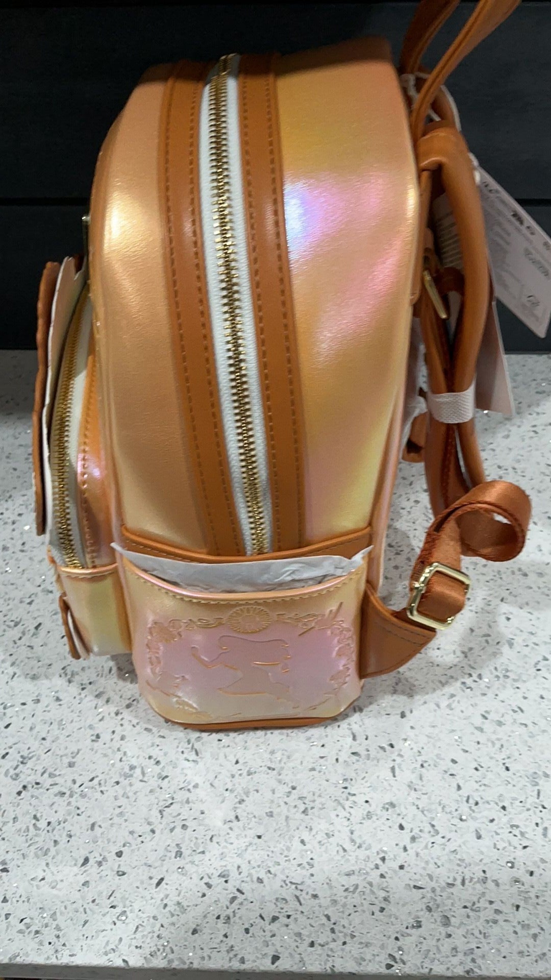 Pocahontas backpack NWT