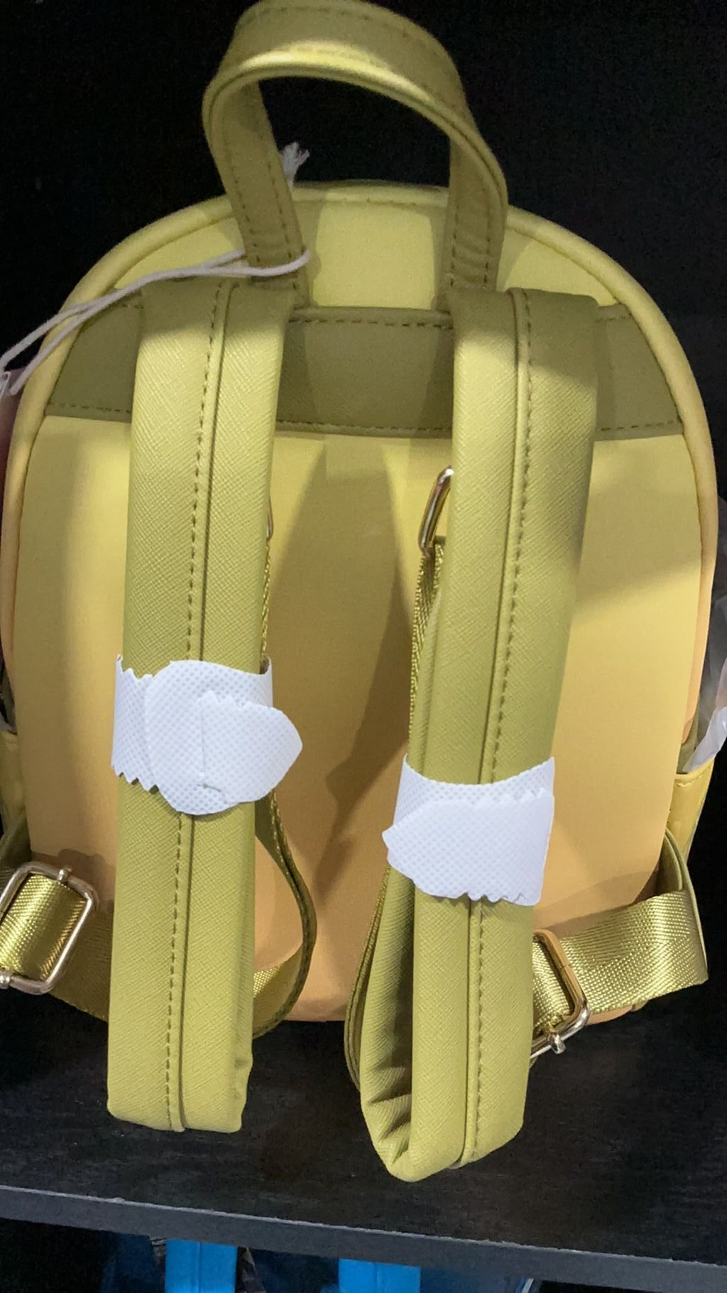 Tiana backpack NWT
