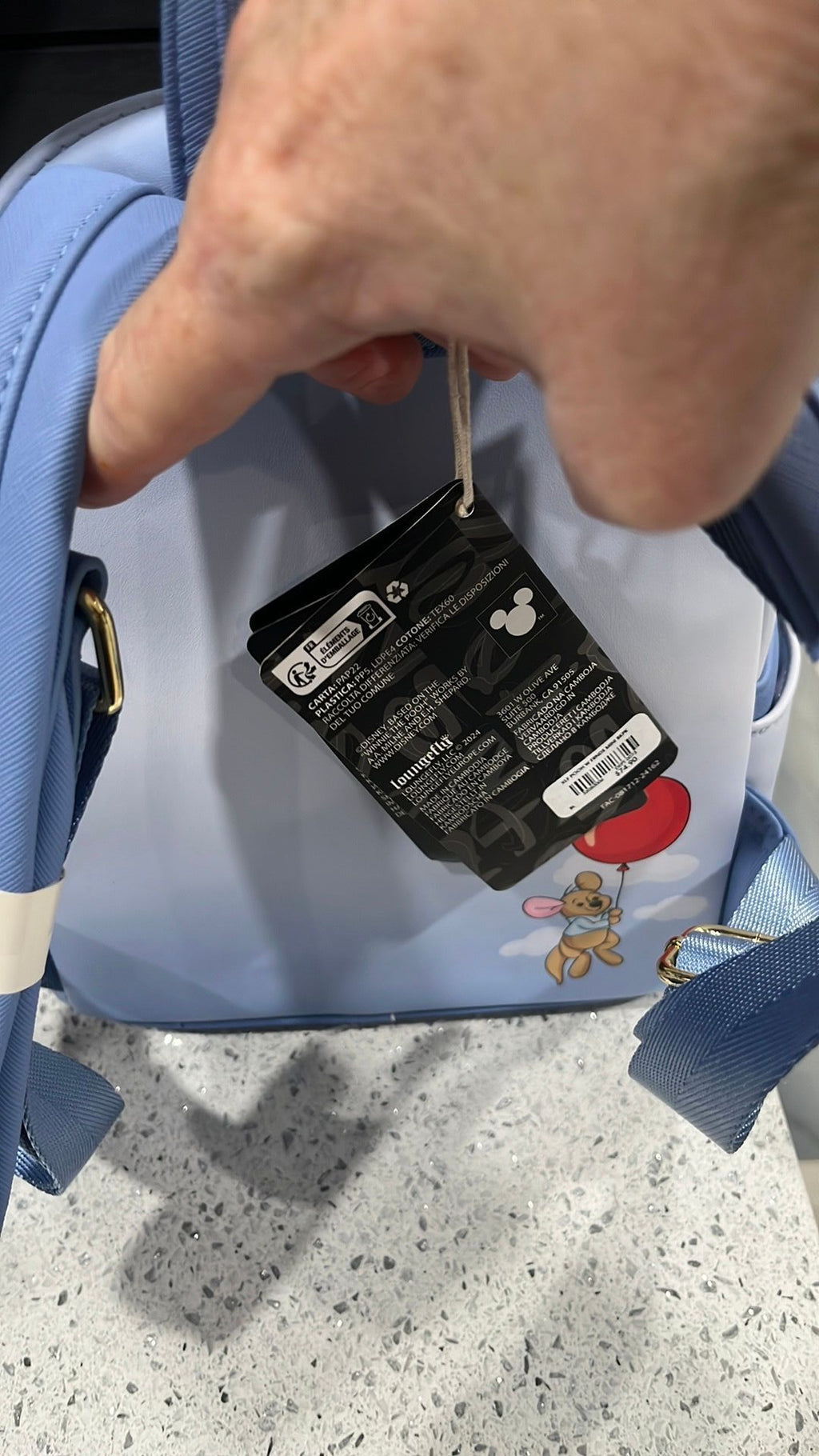 Winnie the Pooh and friends backpack NWT
