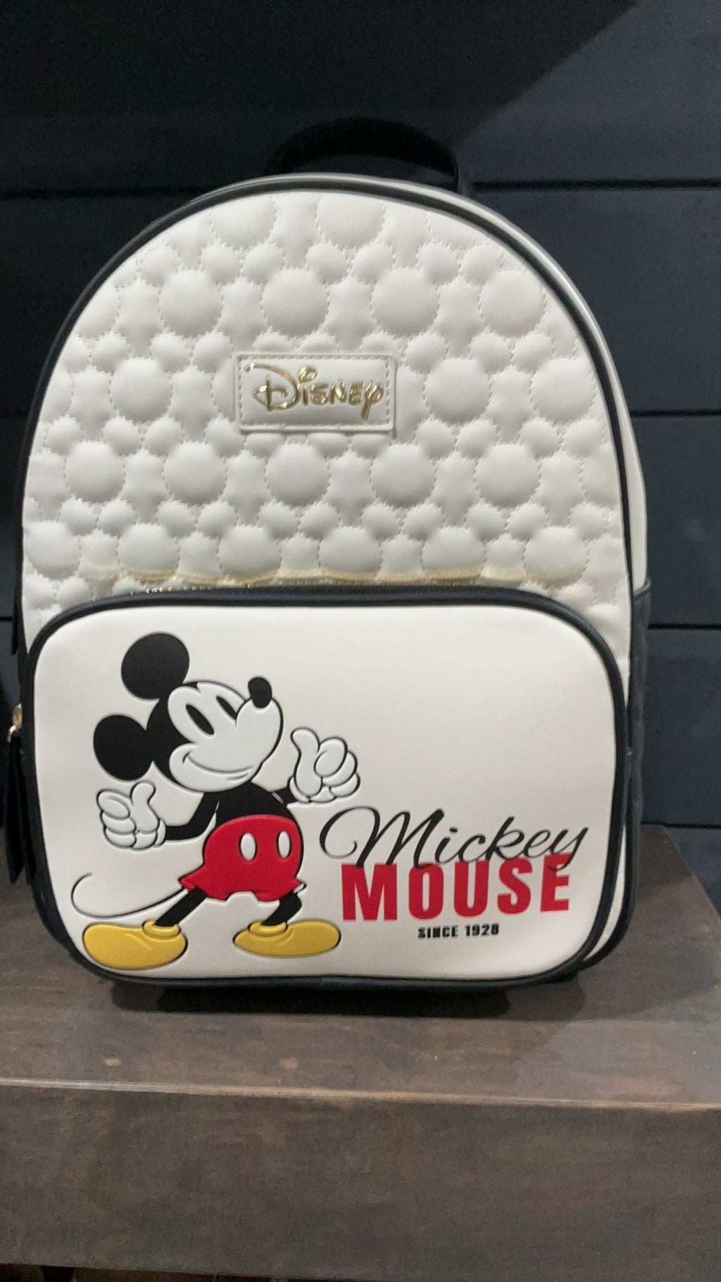 Mickey Mouse backpack NWT