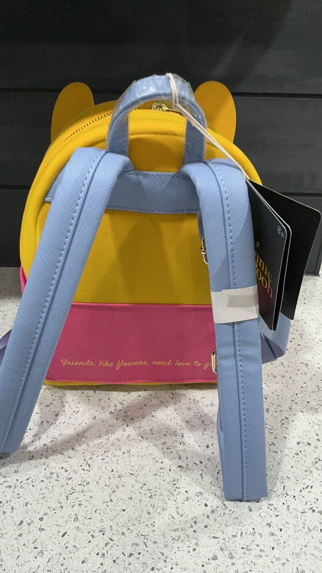 Winnie the Pooh backpack NWT