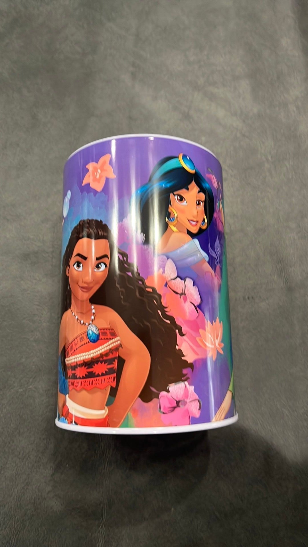 Princess piggy bank NWT