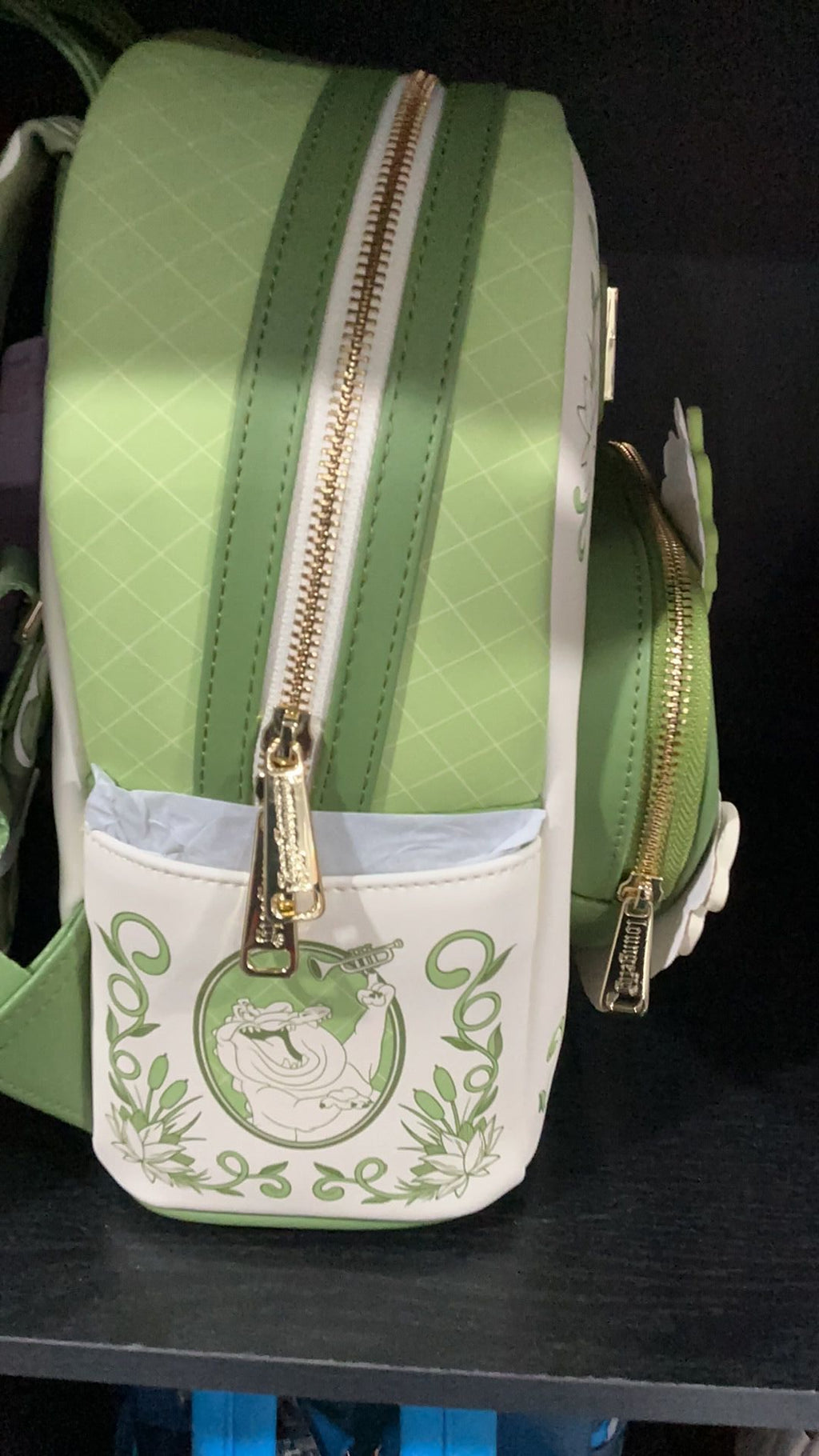 Tiana backpack NWT
